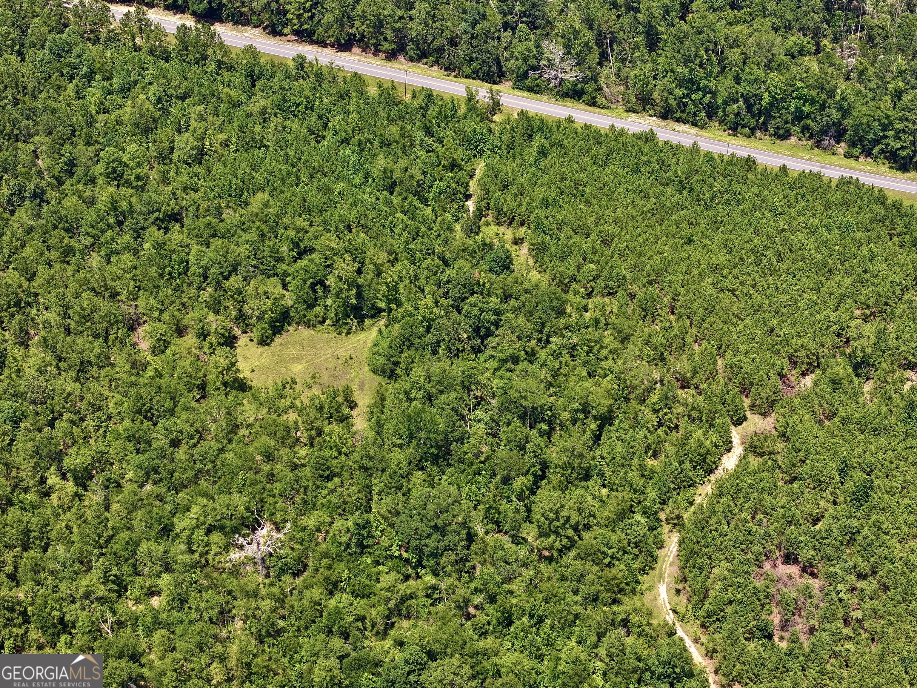 0 Liberty Grove Church Road Wrightsville, GA 31096 - Photo 27 of 46 a view of a lush green forest with a tree