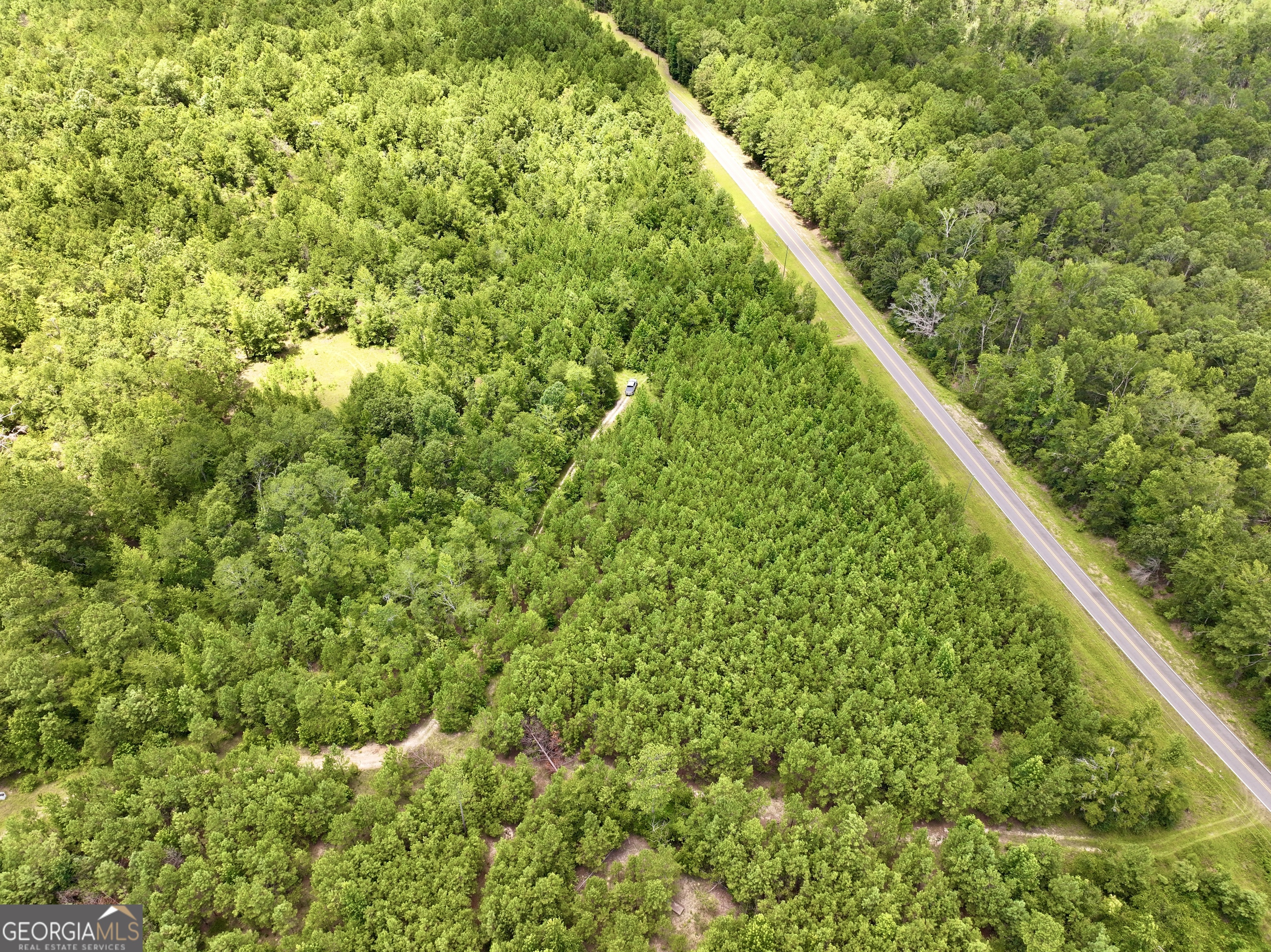 0 Liberty Grove Church Road Wrightsville, GA 31096 - Photo 28 of 46 a view of a green field with lots of bushes