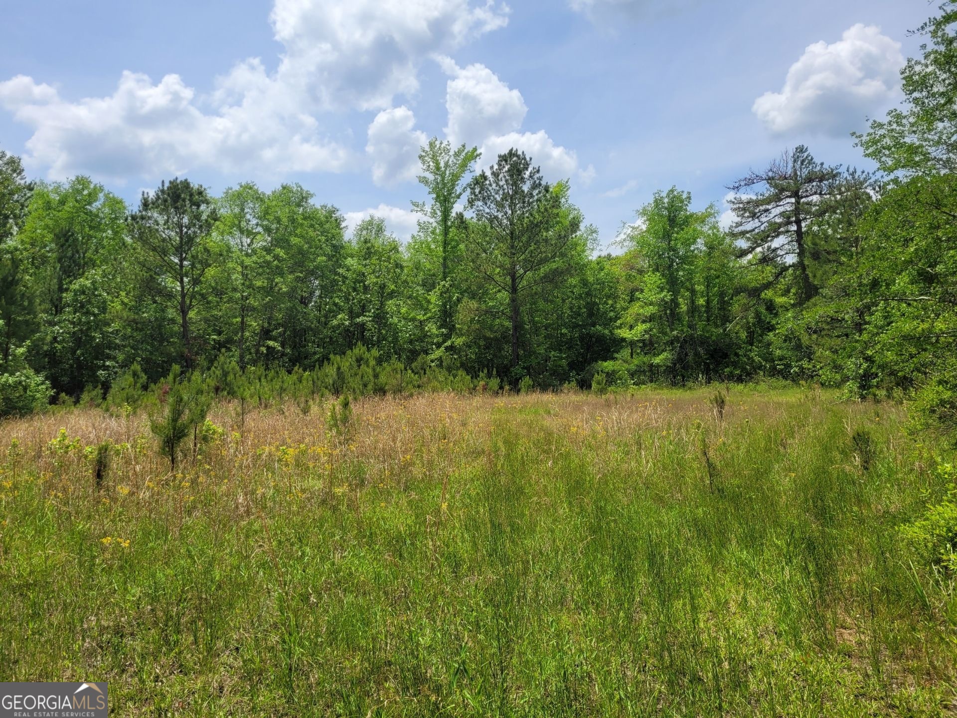 0 Liberty Grove Church Road Wrightsville, GA 31096 - Photo 10 of 46 a view of a lake in between the bunch of trees