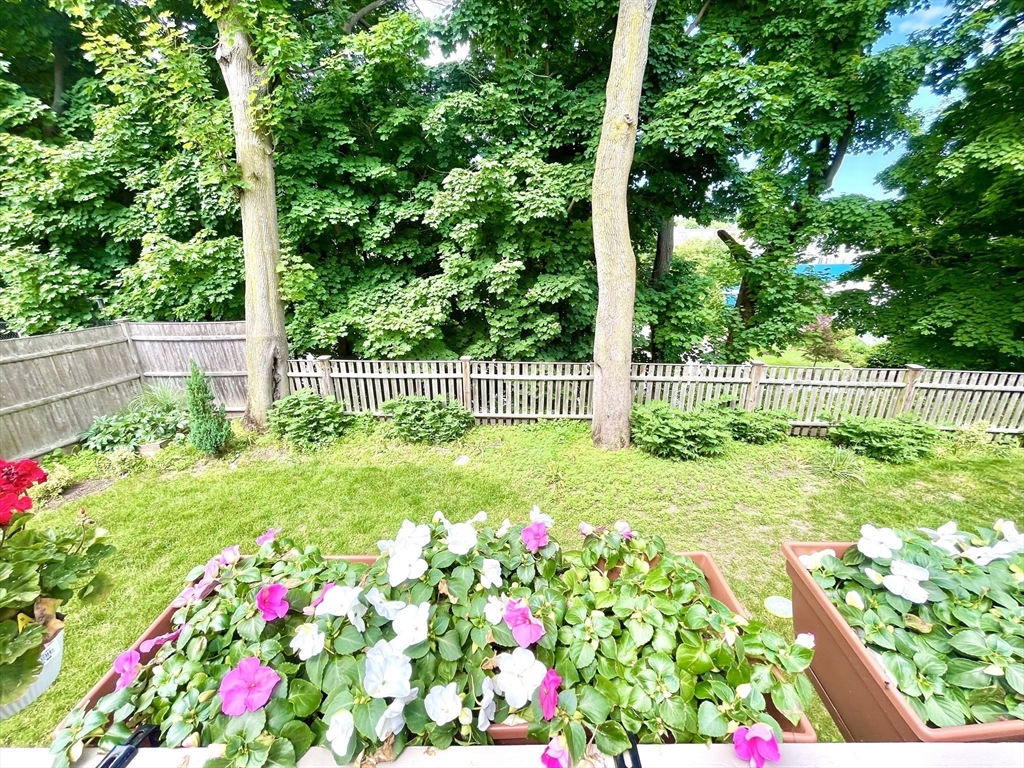 19 Lafayette Road, Unit 3 Ipswich, MA 01938 - Photo 37 of 41 a view of a flower in a yard with swimming pool