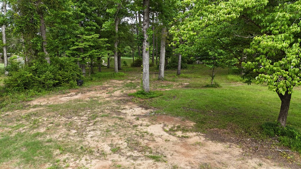 0 Hudspeth Drive Abbeville, AL 36310 - Photo 5 of 15