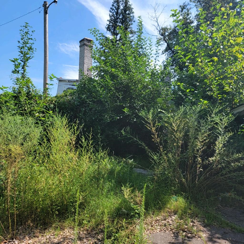38 East Cypress Street Other, AR 72021 - Photo 11 of 12 a plant that is in front of a house
