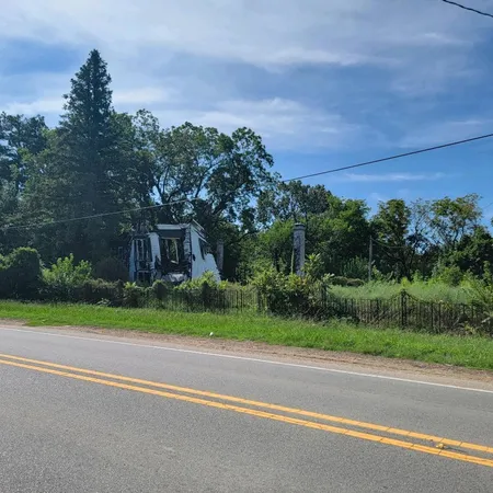 a view of a lush green forest