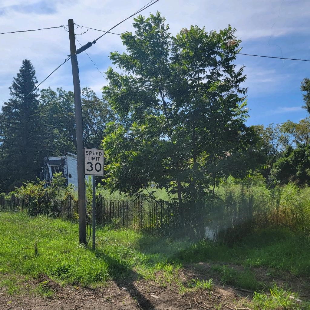 38 East Cypress Street Other, AR 72021 - Photo 7 of 12 a backyard of a house with lots of green space
