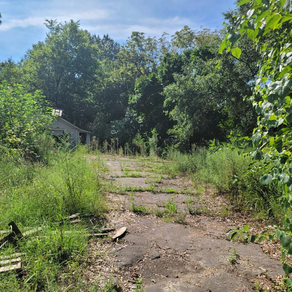 38 East Cypress Street Other, AR 72021 - Photo 8 of 12 a view of a lush green forest with lots of trees