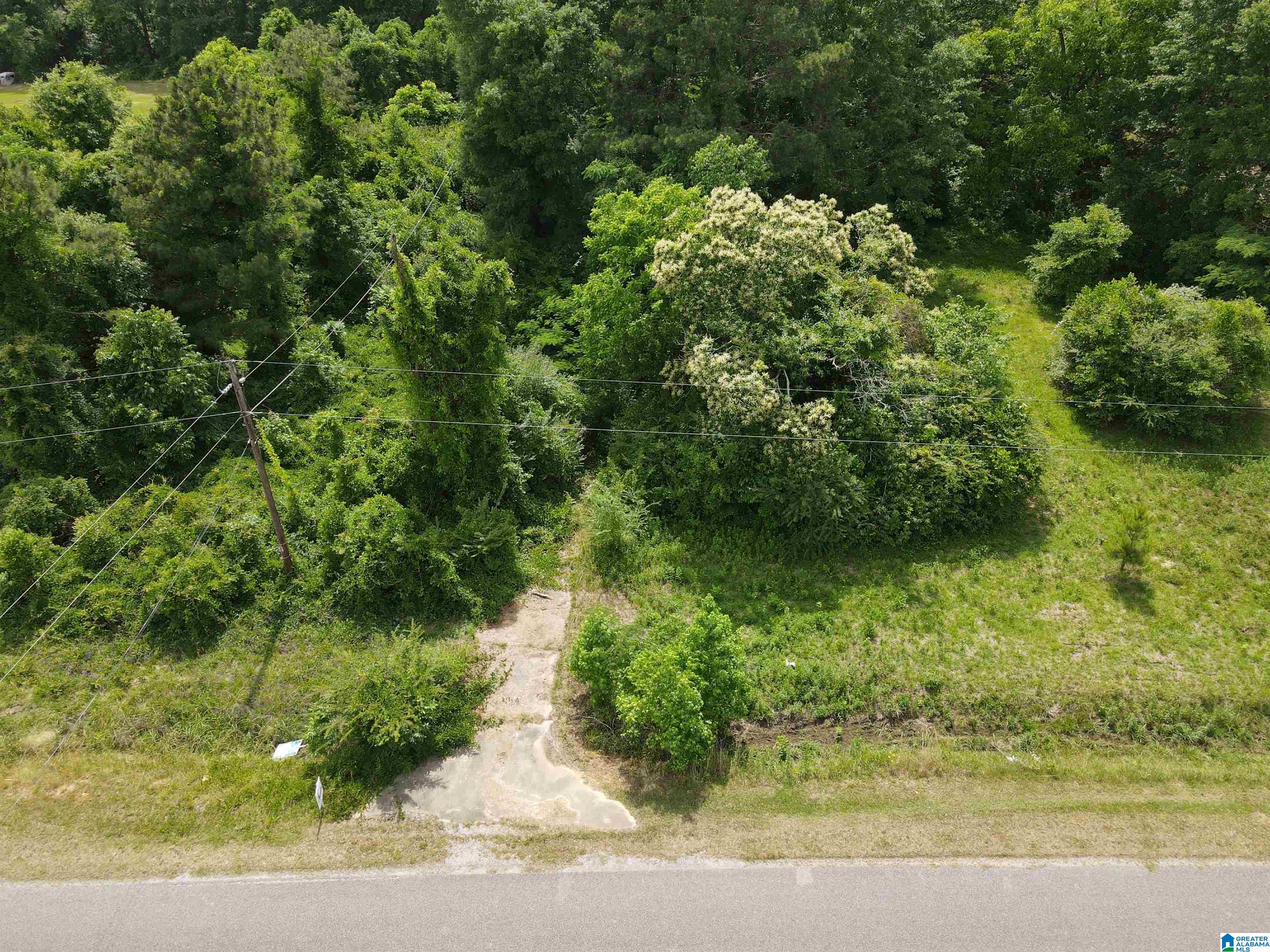 2475 County Road 97 Verbena, AL 36091 - Photo 5 of 6