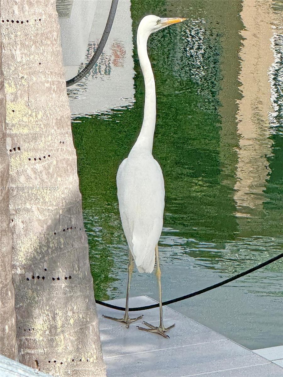 28 Center Lane Key Largo, FL 33037 - Photo 80 of 93 a view of a swimming pool with a balcony