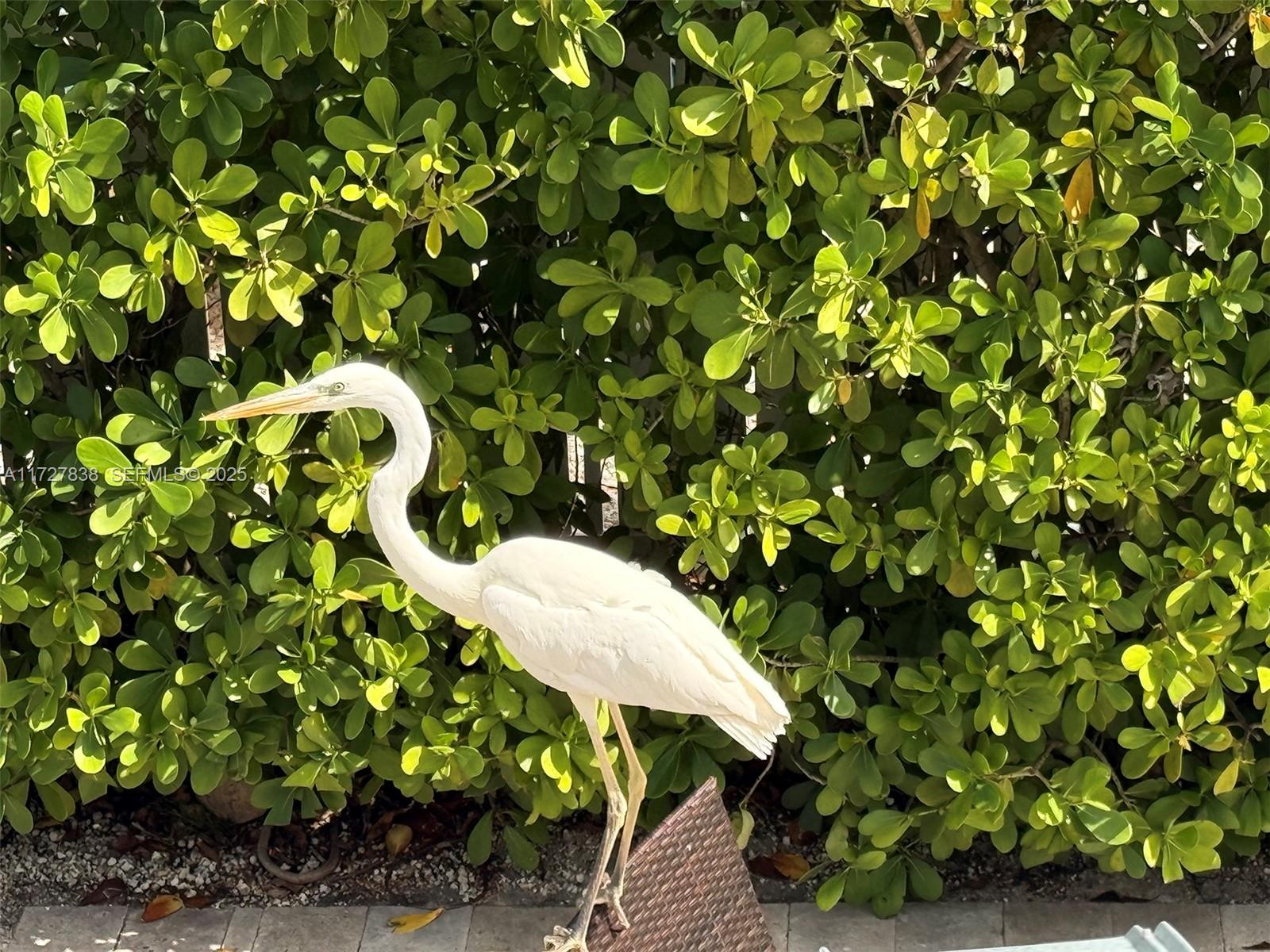 28 Center Lane Key Largo, FL 33037 - Photo 90 of 93