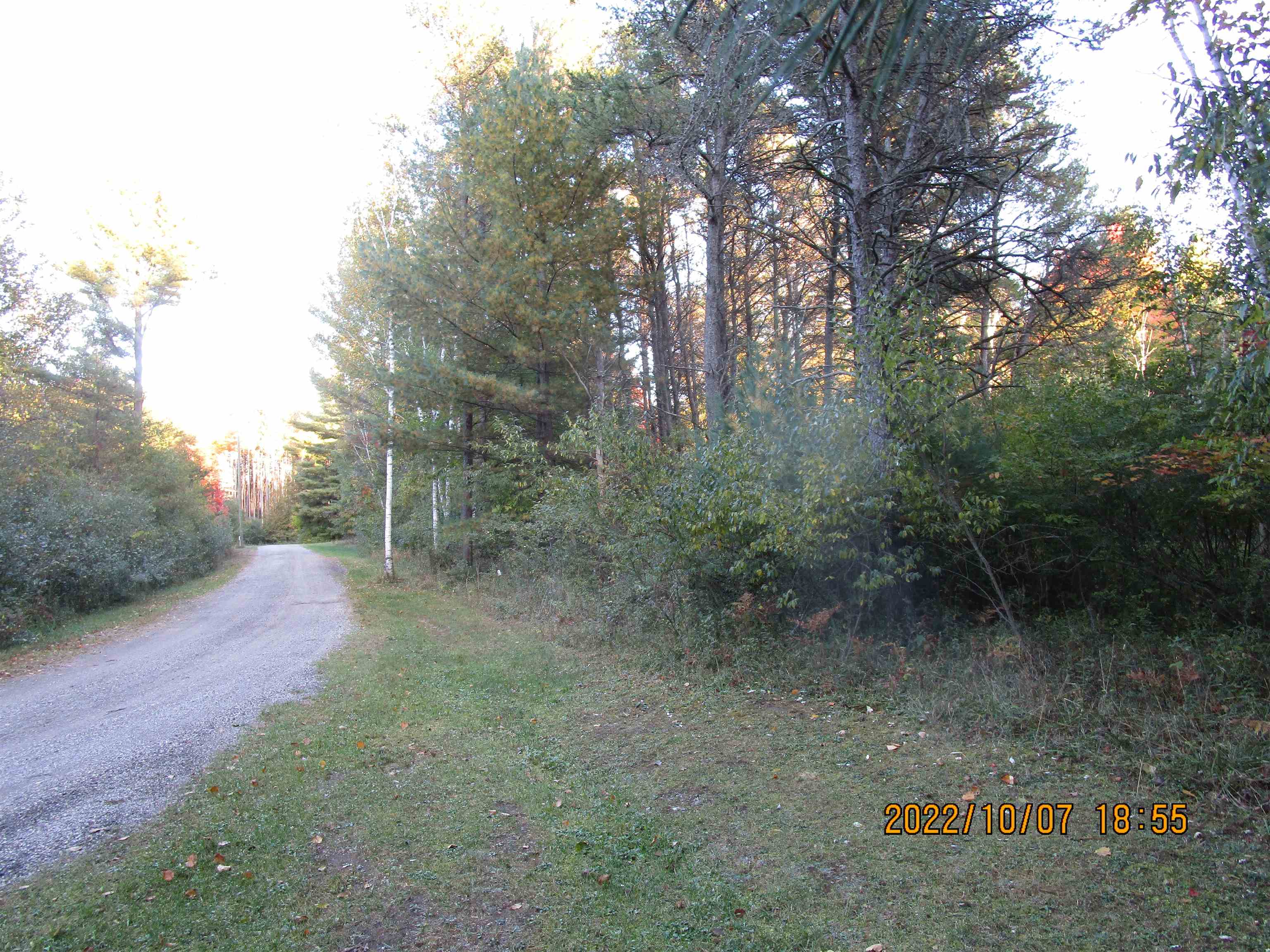 0 Miller Road, Unit ACCESS OFF MCARDLE East Tawas, MI 48730 - Photo 2 of 7