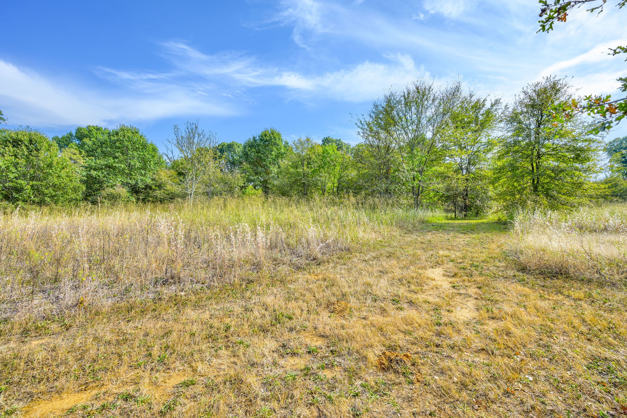 312 Magnus Road Denison, TX 75021 - Photo 9 of 50