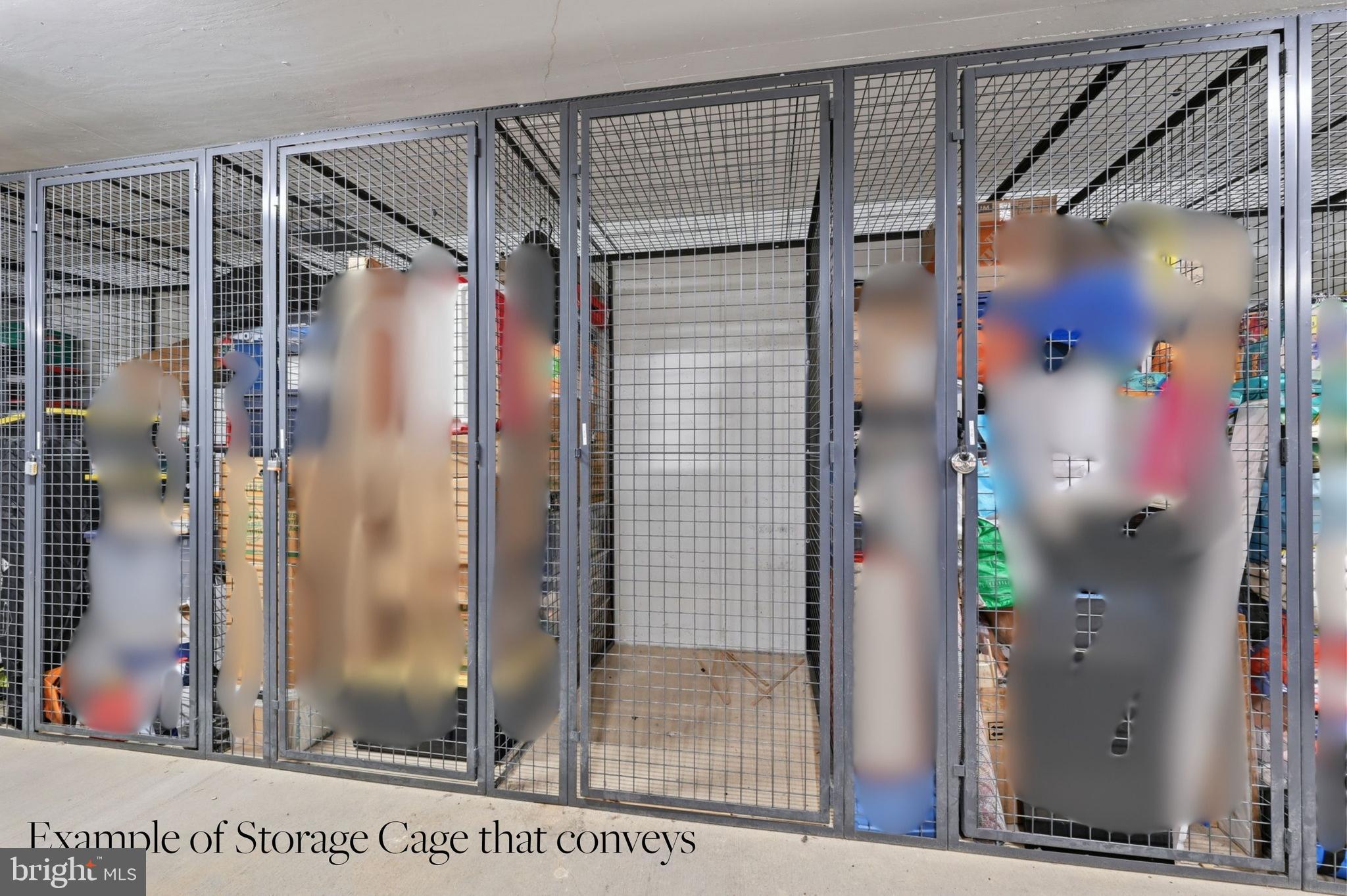 70 N Street Southeast, Unit N706 Washington, DC 20003 - Photo 13 of 23 Storage Cage of this size conveys