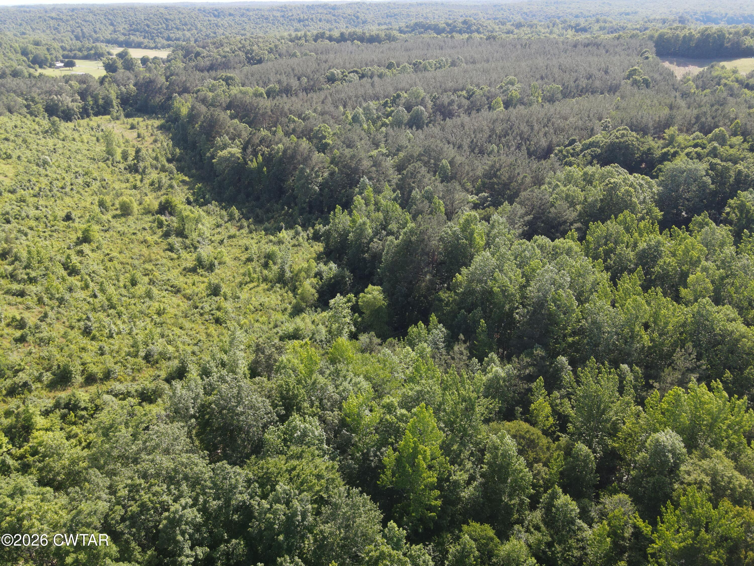 0 Walter Mills Road Sugar Tree, TN 38380 - Photo 4 of 15 DJI_0556.JPGR