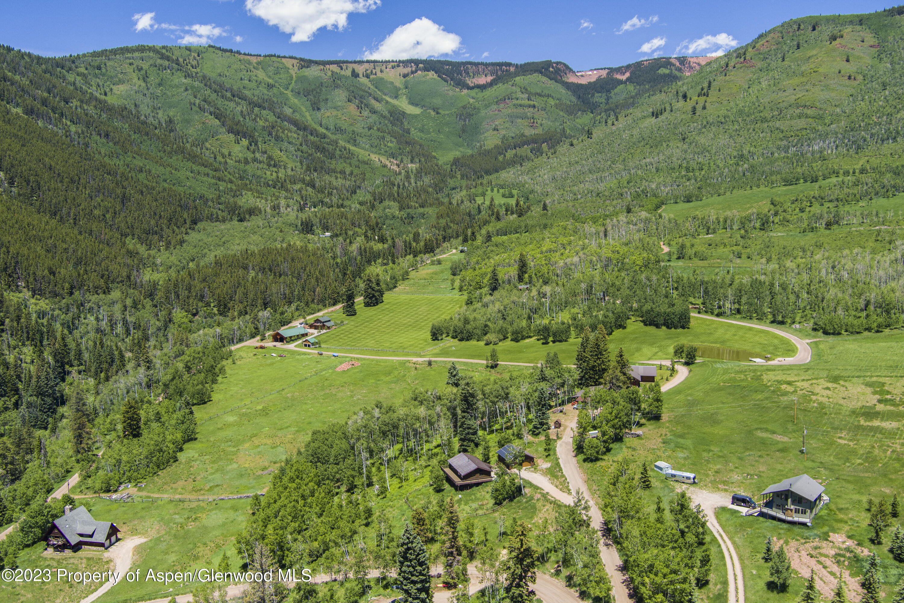 903 McLaughlin Lane Basalt, CO 81621 - Photo 25 of 28 a view of a lush green forest