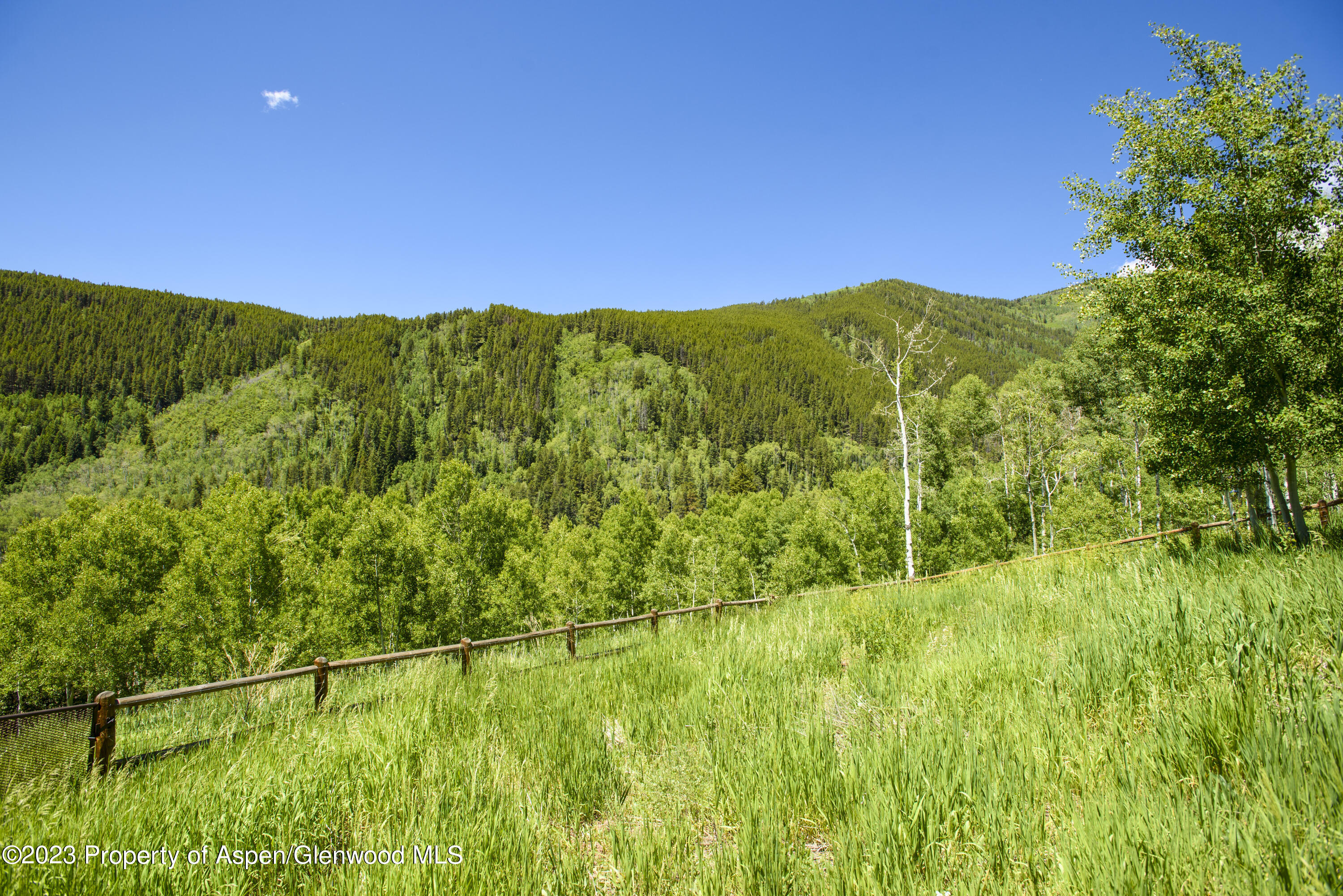 903 McLaughlin Lane Basalt, CO 81621 - Photo 28 of 28 a view of an lush green mountain