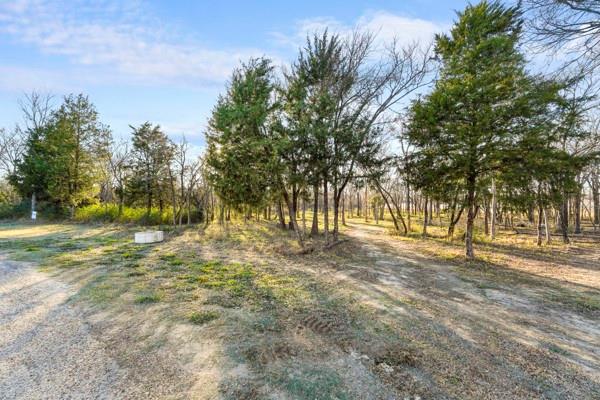 Tbd Lakeview Trail Mabank, TX 75147 - Photo 14 of 18 a view of yard with trees