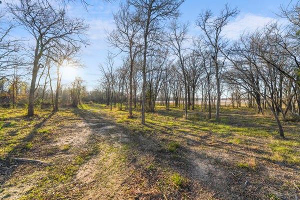 Tbd Lakeview Trail Mabank, TX 75147 - Photo 15 of 18 a view of yard with trees