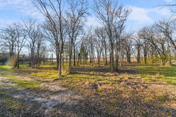 Tbd Lakeview Trail Mabank, TX 75147 - Photo 18 of 18 a view of a yard with a tree