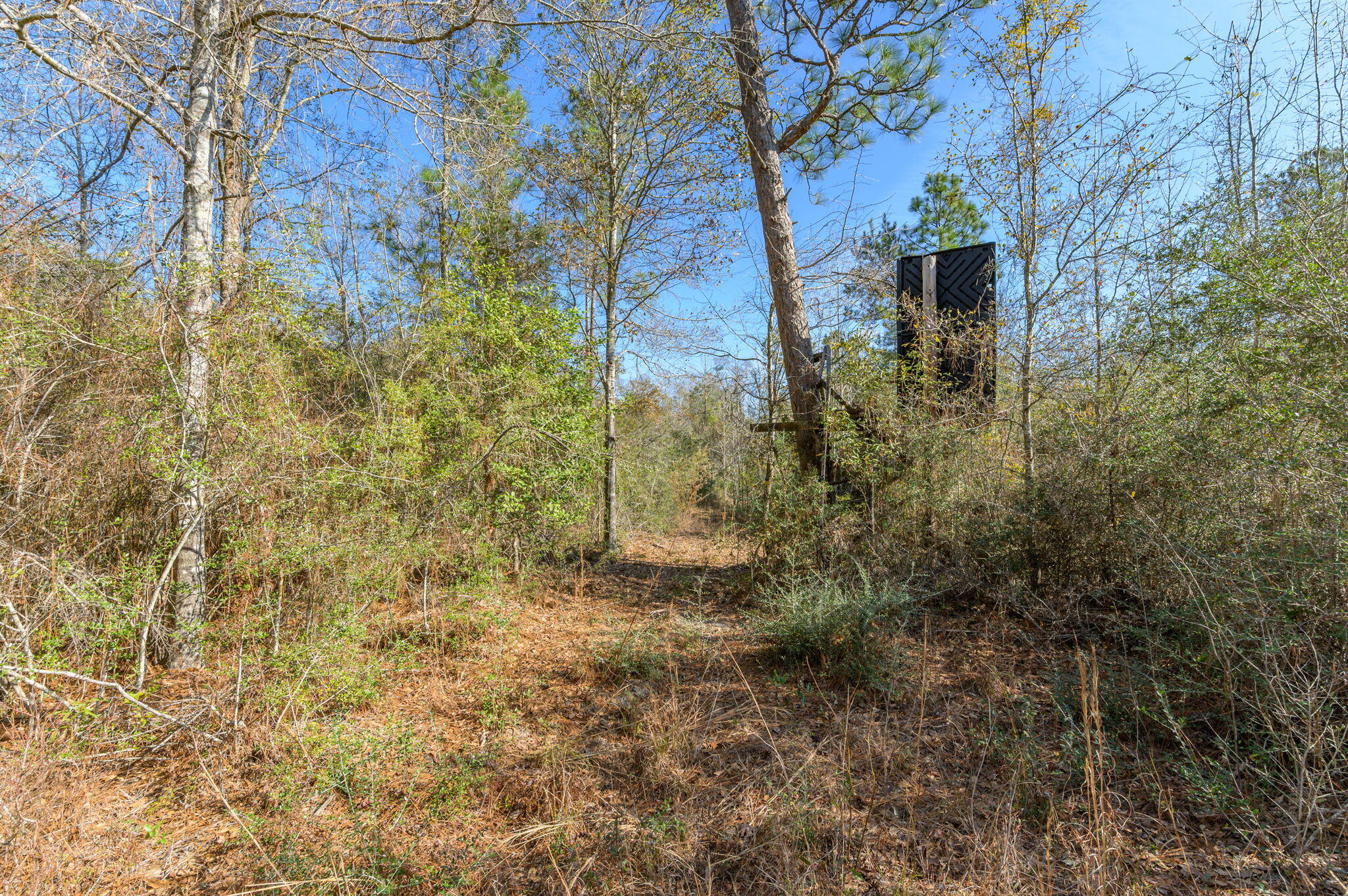 13567 Cotton Road Andalusia, AL 36420 - Photo 11 of 60 49-web-or-mls-13567-cotton-rd