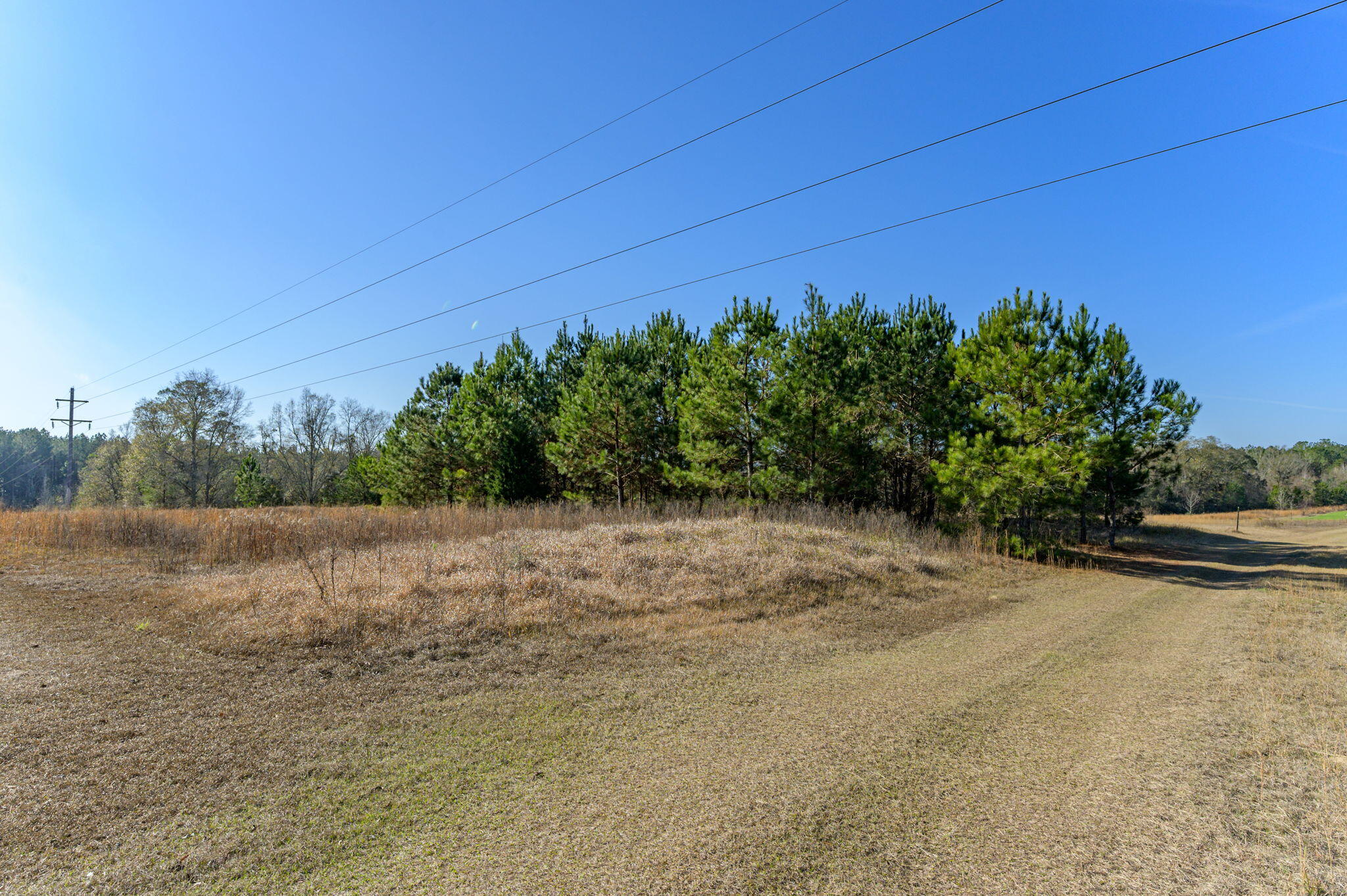 13567 Cotton Road Andalusia, AL 36420 - Photo 14 of 60 20-web-or-mls-13567-cotton-rd - Copy