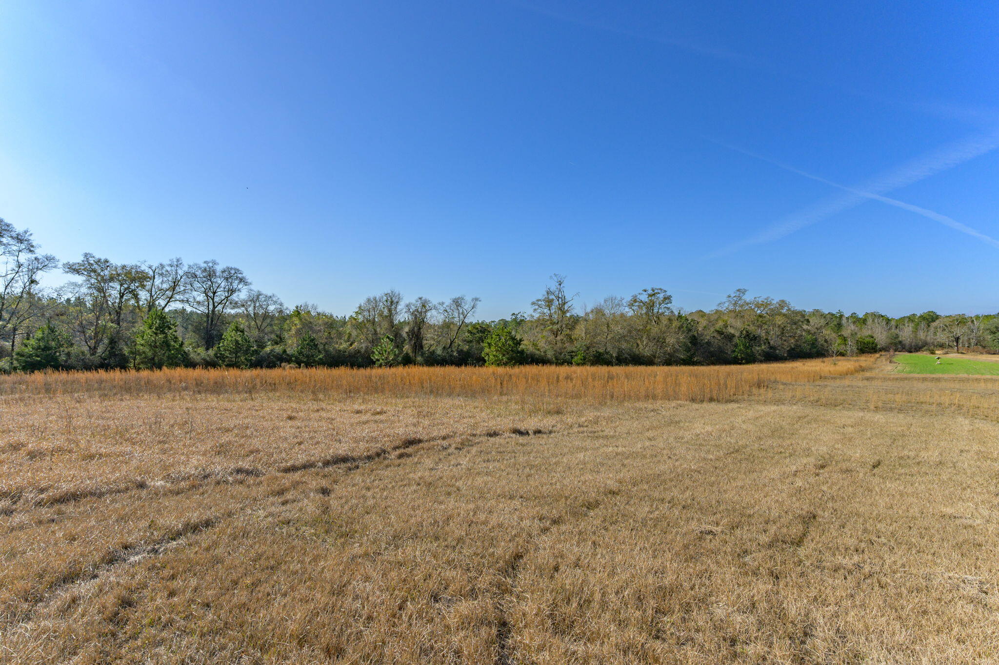 13567 Cotton Road Andalusia, AL 36420 - Photo 18 of 60 a view of lake and mountain view