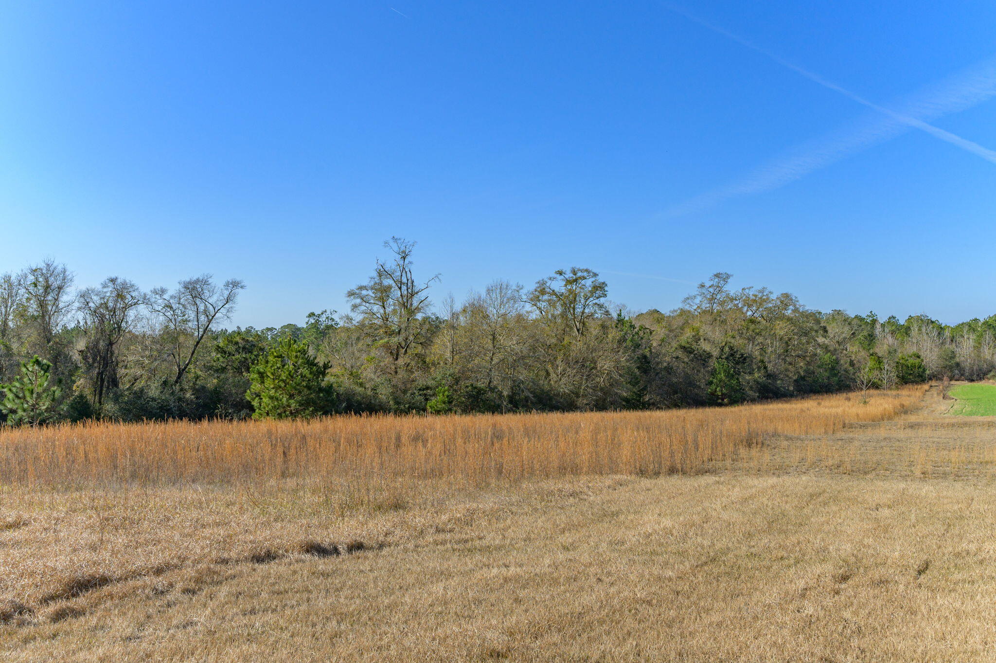 13567 Cotton Road Andalusia, AL 36420 - Photo 19 of 60 24-web-or-mls-13567-cotton-rd - Copy