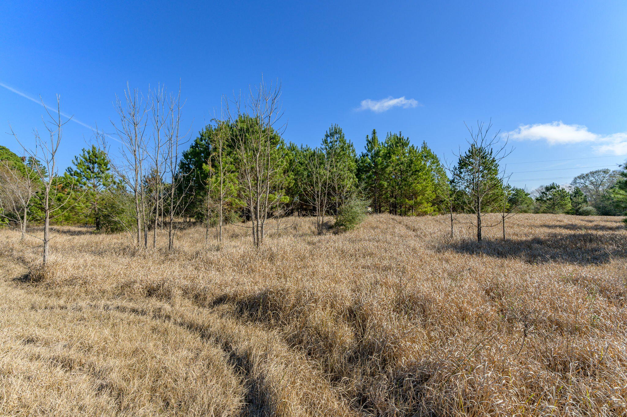 13567 Cotton Road Andalusia, AL 36420 - Photo 20 of 60 a view of a field
