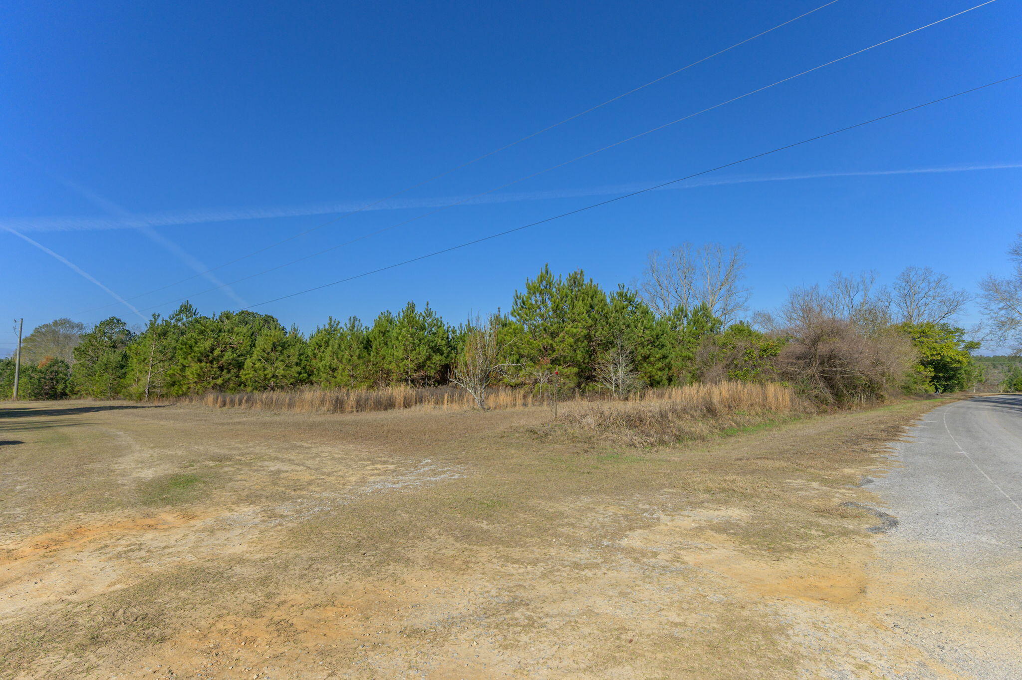 13567 Cotton Road Andalusia, AL 36420 - Photo 21 of 60 a view of a field with trees in background