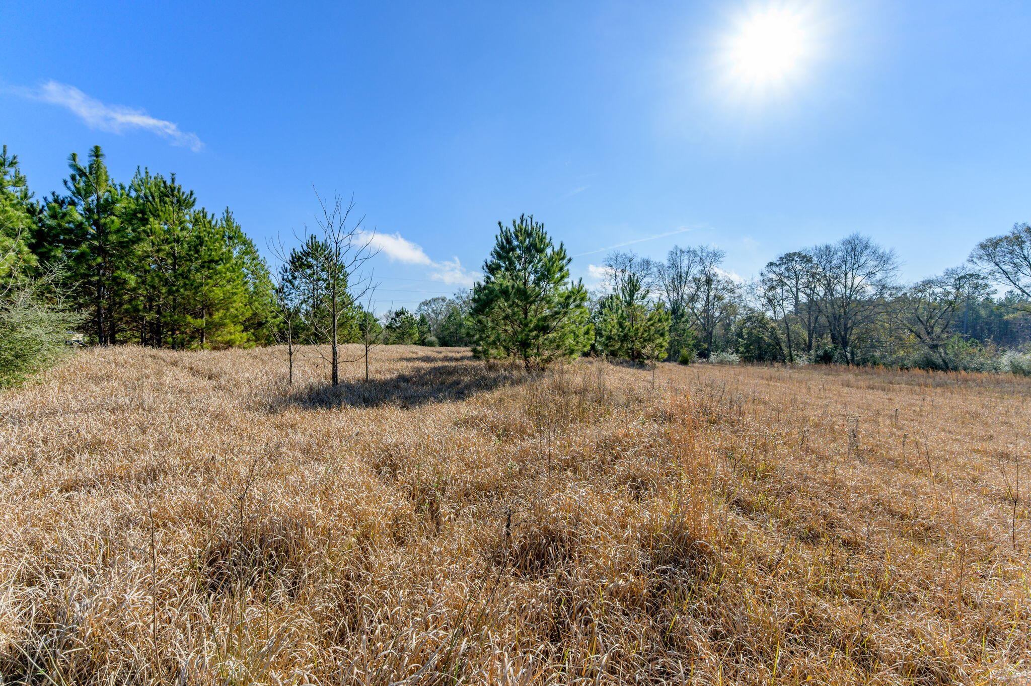 13567 Cotton Road Andalusia, AL 36420 - Photo 23 of 60 26-web-or-mls-13567-cotton-rd - Copy