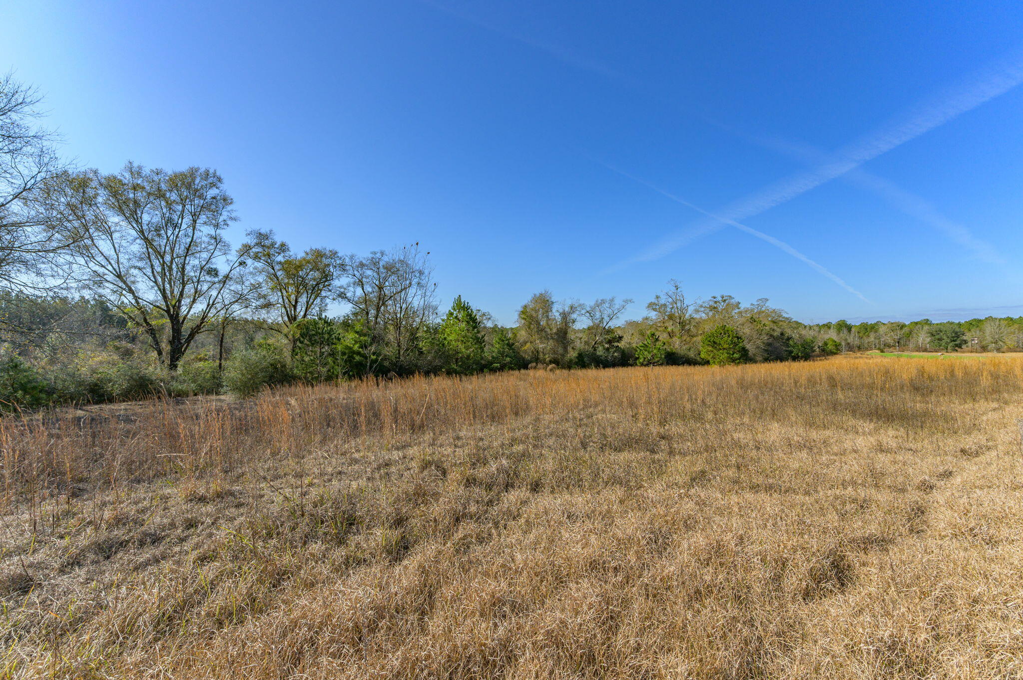 13567 Cotton Road Andalusia, AL 36420 - Photo 24 of 60 27-web-or-mls-13567-cotton-rd - Copy