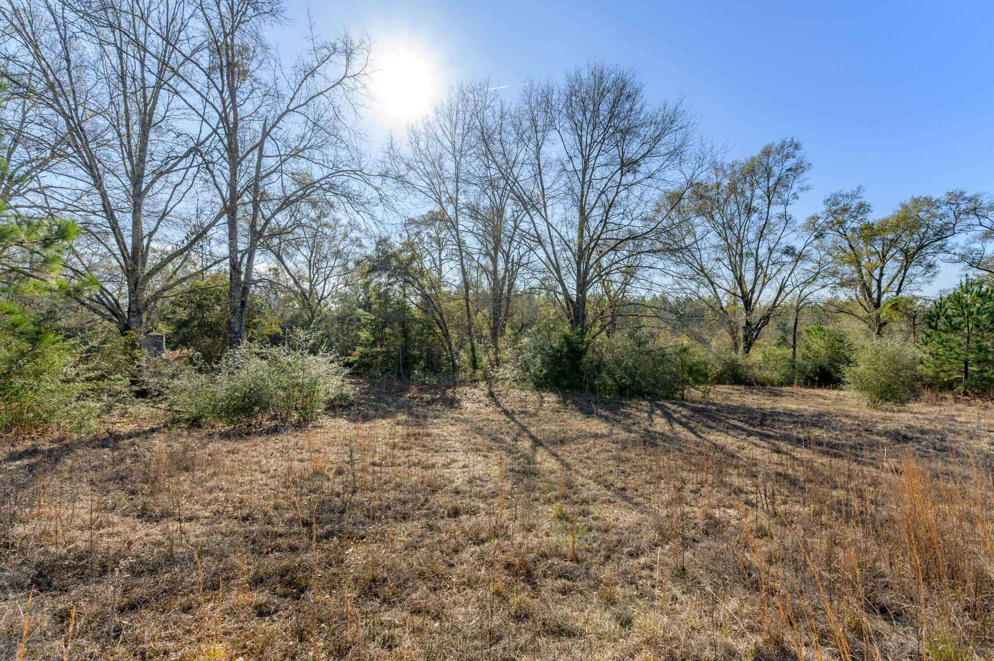 13567 Cotton Road Andalusia, AL 36420 - Photo 25 of 60 a view of a dirt road with large trees