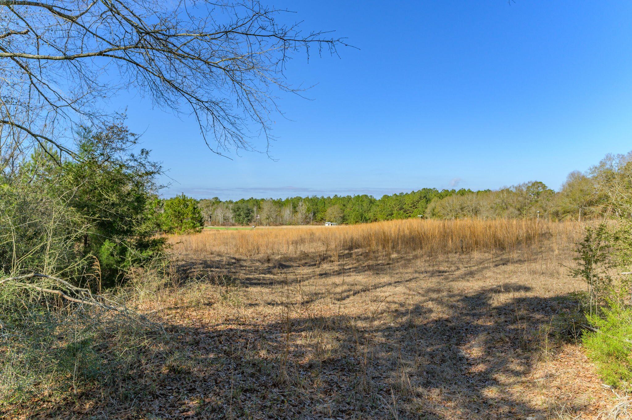 13567 Cotton Road Andalusia, AL 36420 - Photo 26 of 60 a view of lake with green space