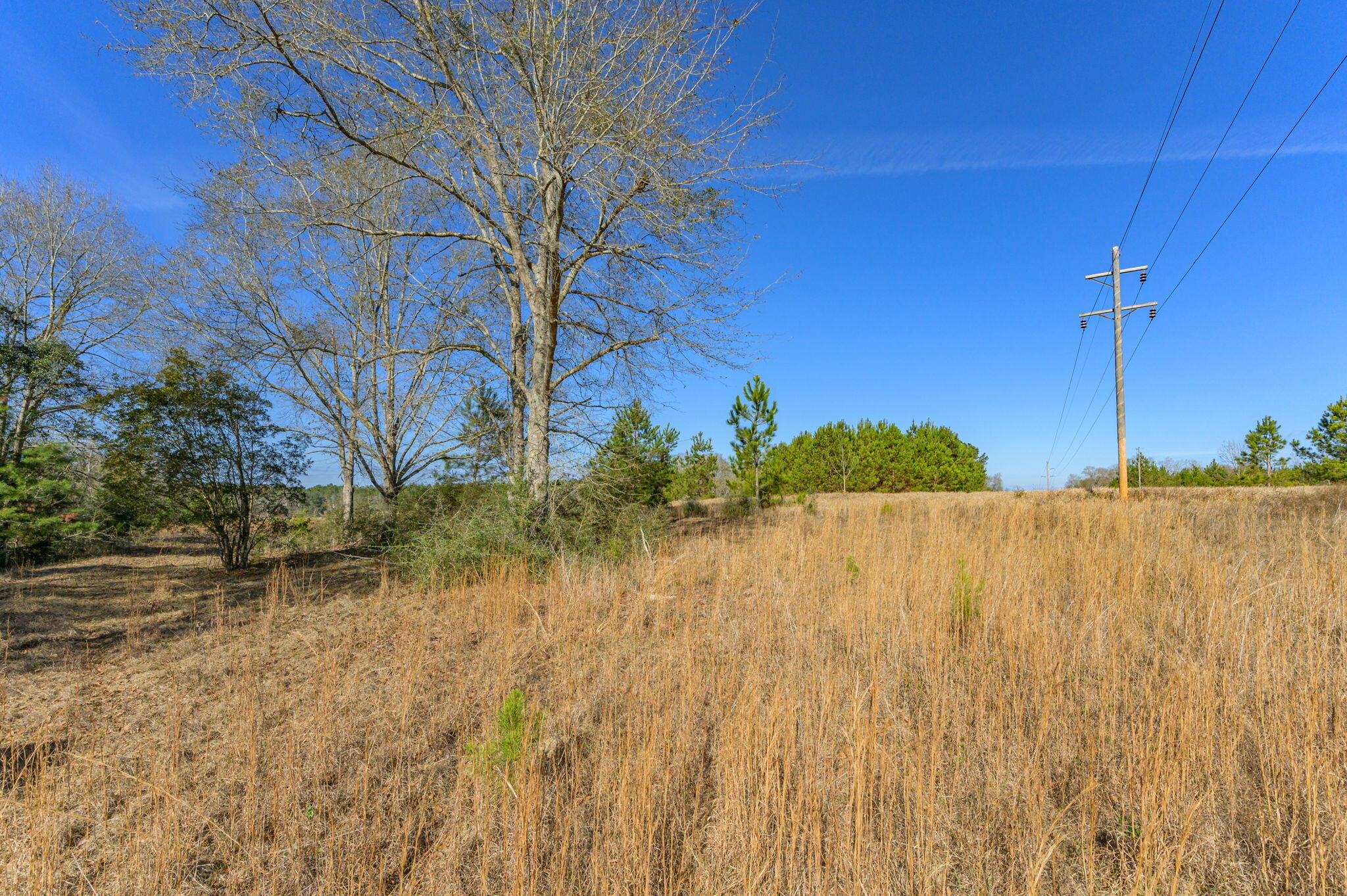 13567 Cotton Road Andalusia, AL 36420 - Photo 27 of 60 30-web-or-mls-13567-cotton-rd - Copy