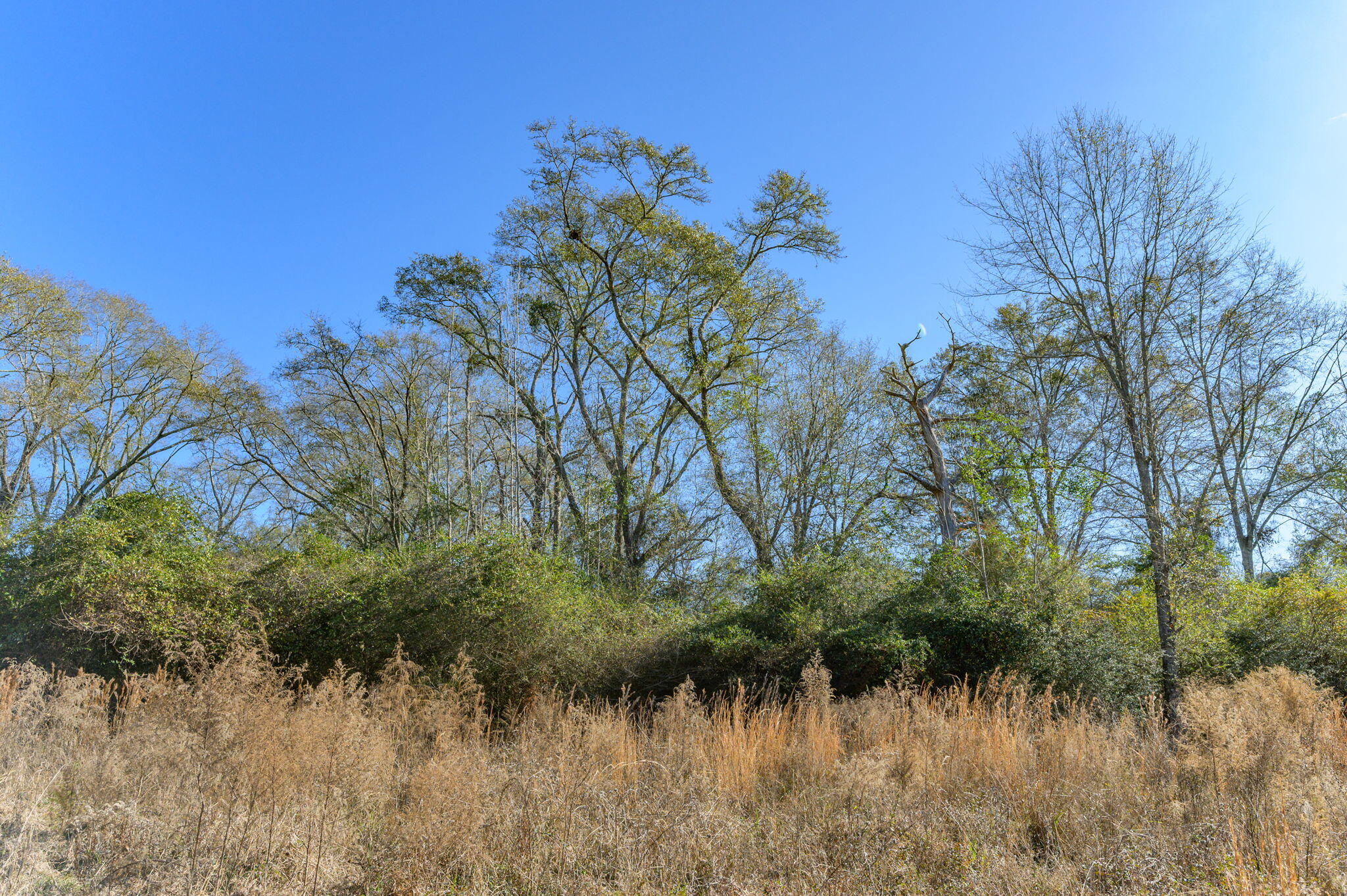 13567 Cotton Road Andalusia, AL 36420 - Photo 28 of 60 31-web-or-mls-13567-cotton-rd - Copy