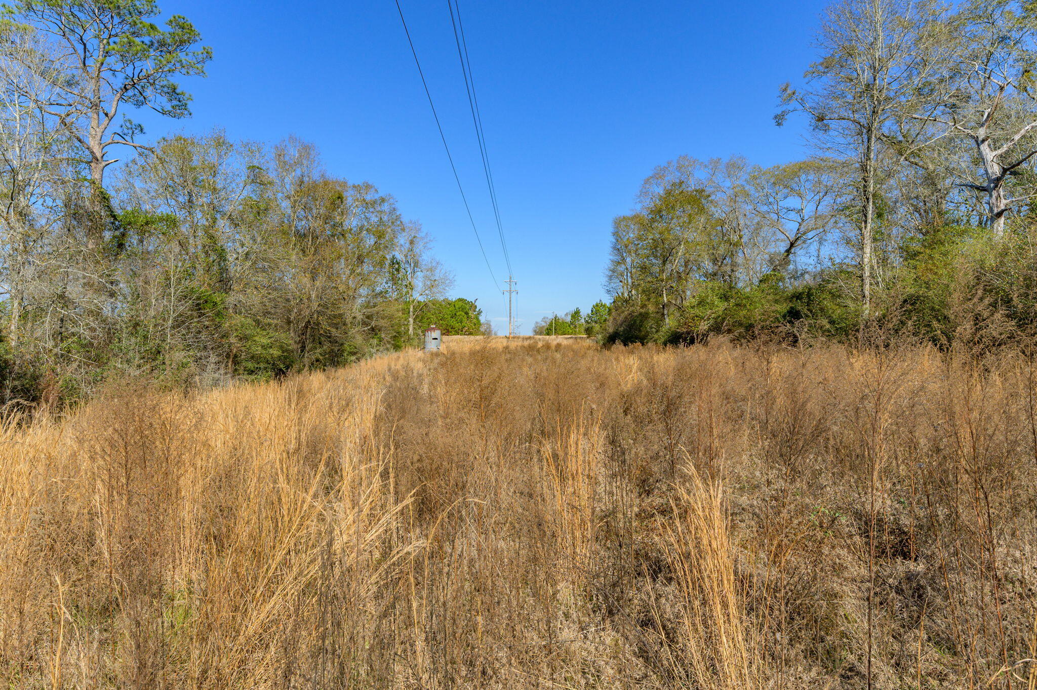 13567 Cotton Road Andalusia, AL 36420 - Photo 29 of 60 32-web-or-mls-13567-cotton-rd - Copy