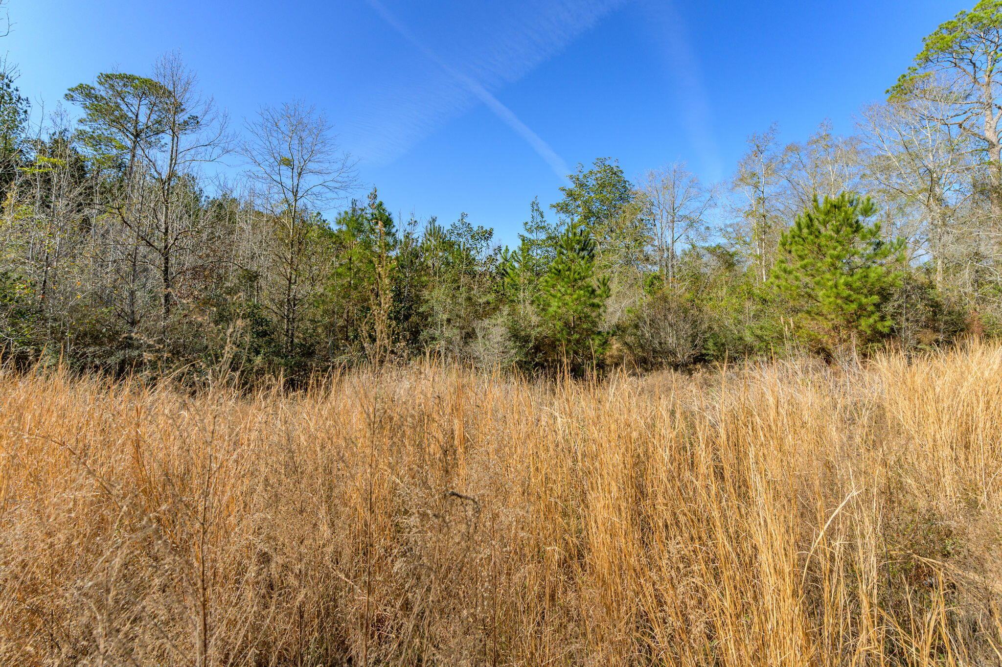13567 Cotton Road Andalusia, AL 36420 - Photo 30 of 60 a view of lake with green space