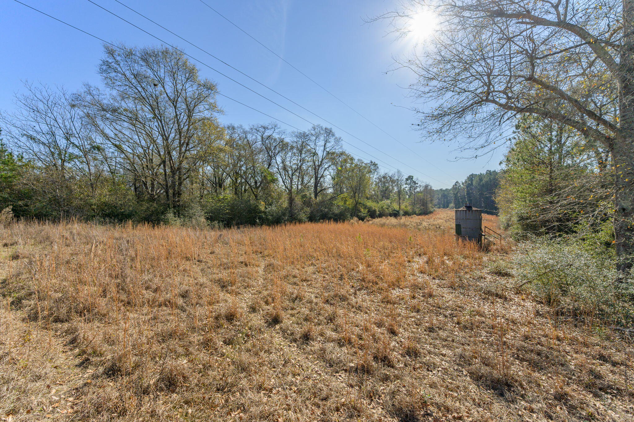 13567 Cotton Road Andalusia, AL 36420 - Photo 31 of 60 34-web-or-mls-13567-cotton-rd - Copy