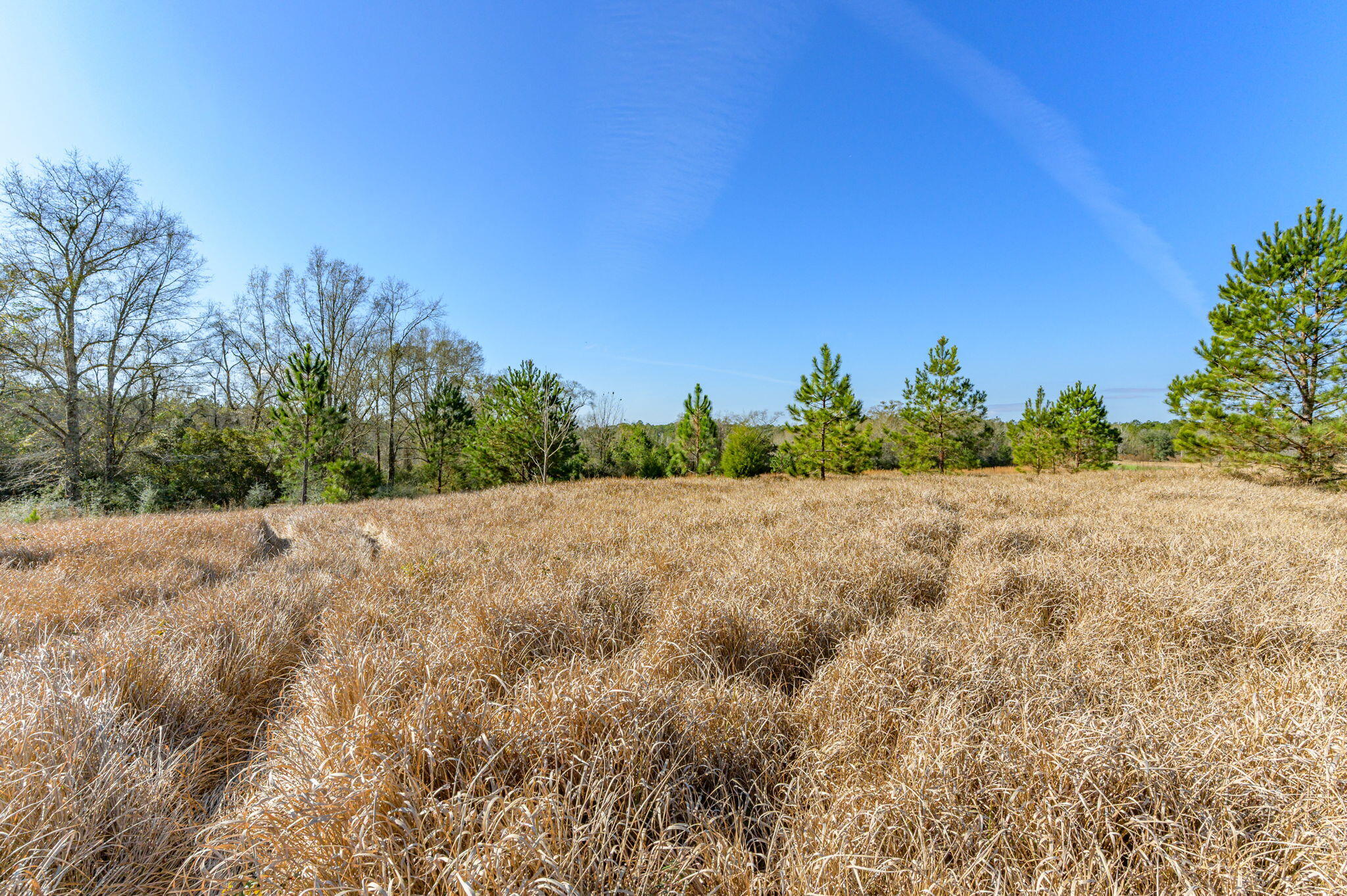 13567 Cotton Road Andalusia, AL 36420 - Photo 32 of 60 35-web-or-mls-13567-cotton-rd - Copy