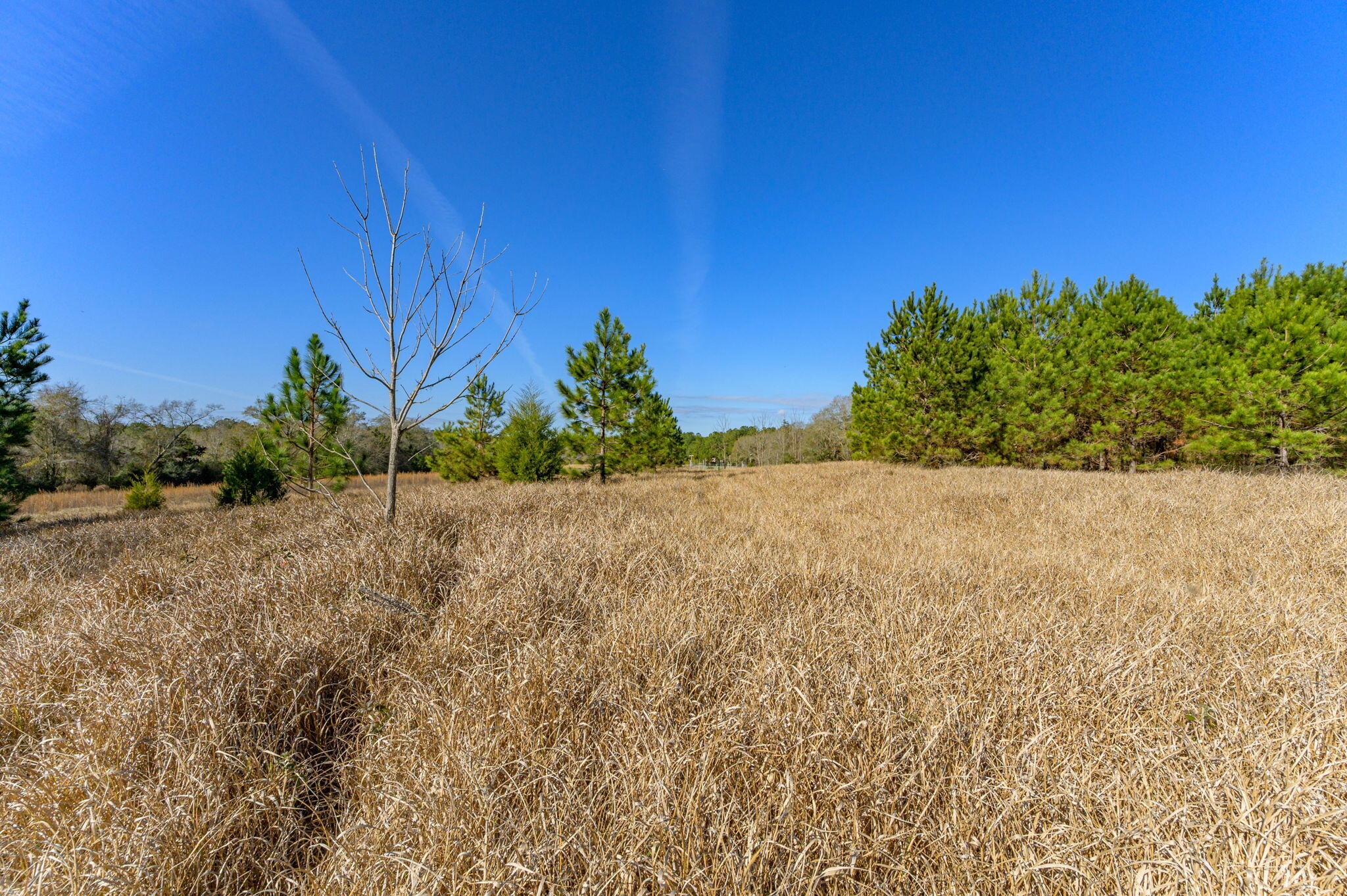 13567 Cotton Road Andalusia, AL 36420 - Photo 34 of 60 37-web-or-mls-13567-cotton-rd - Copy