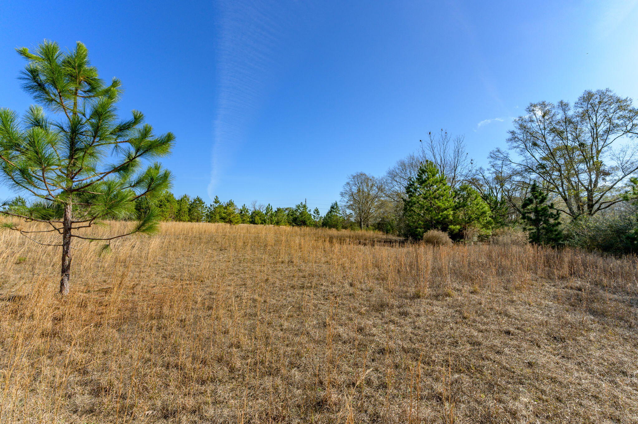 13567 Cotton Road Andalusia, AL 36420 - Photo 39 of 60 a view of lake