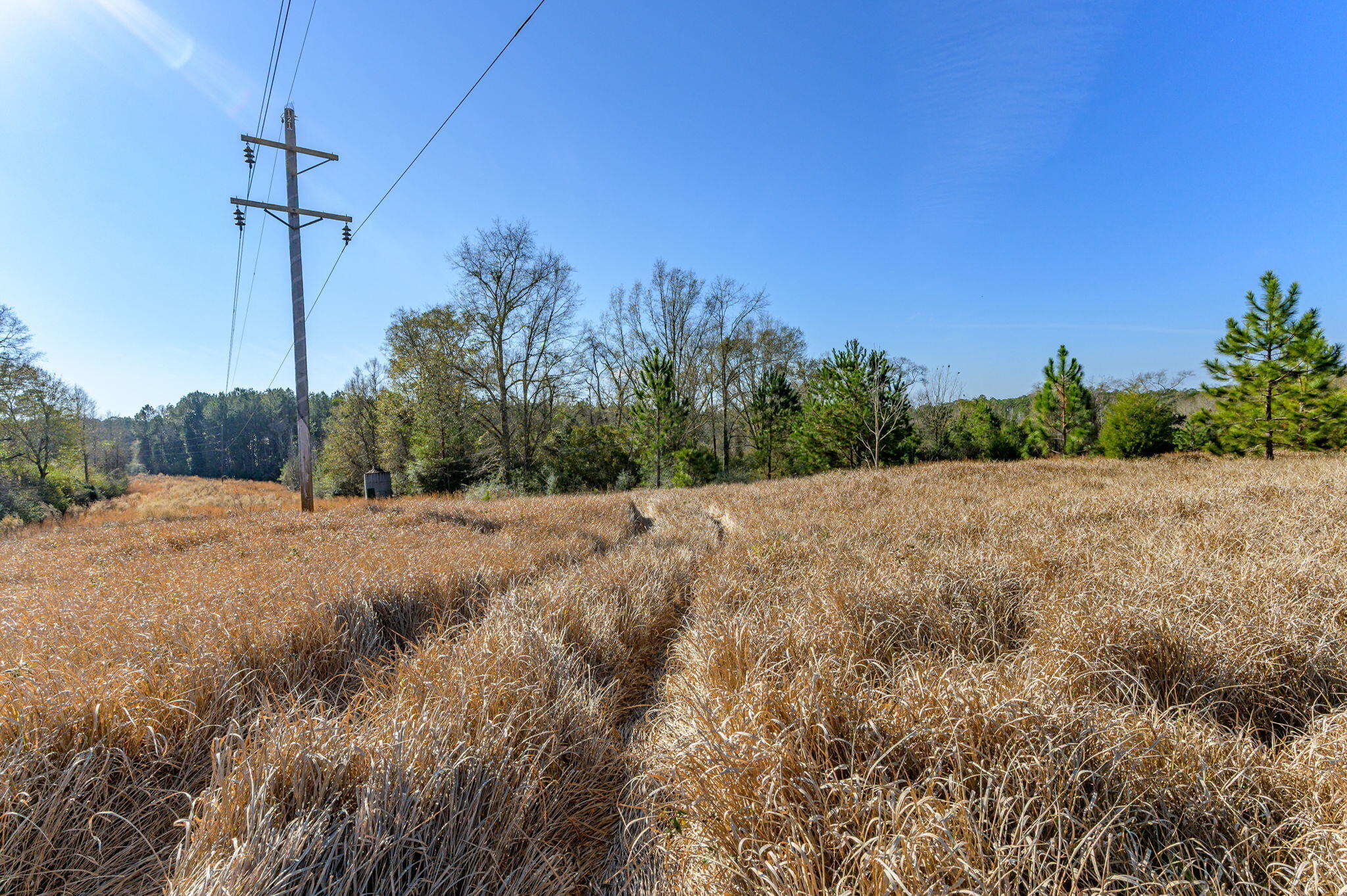 13567 Cotton Road Andalusia, AL 36420 - Photo 41 of 60 43-web-or-mls-13567-cotton-rd