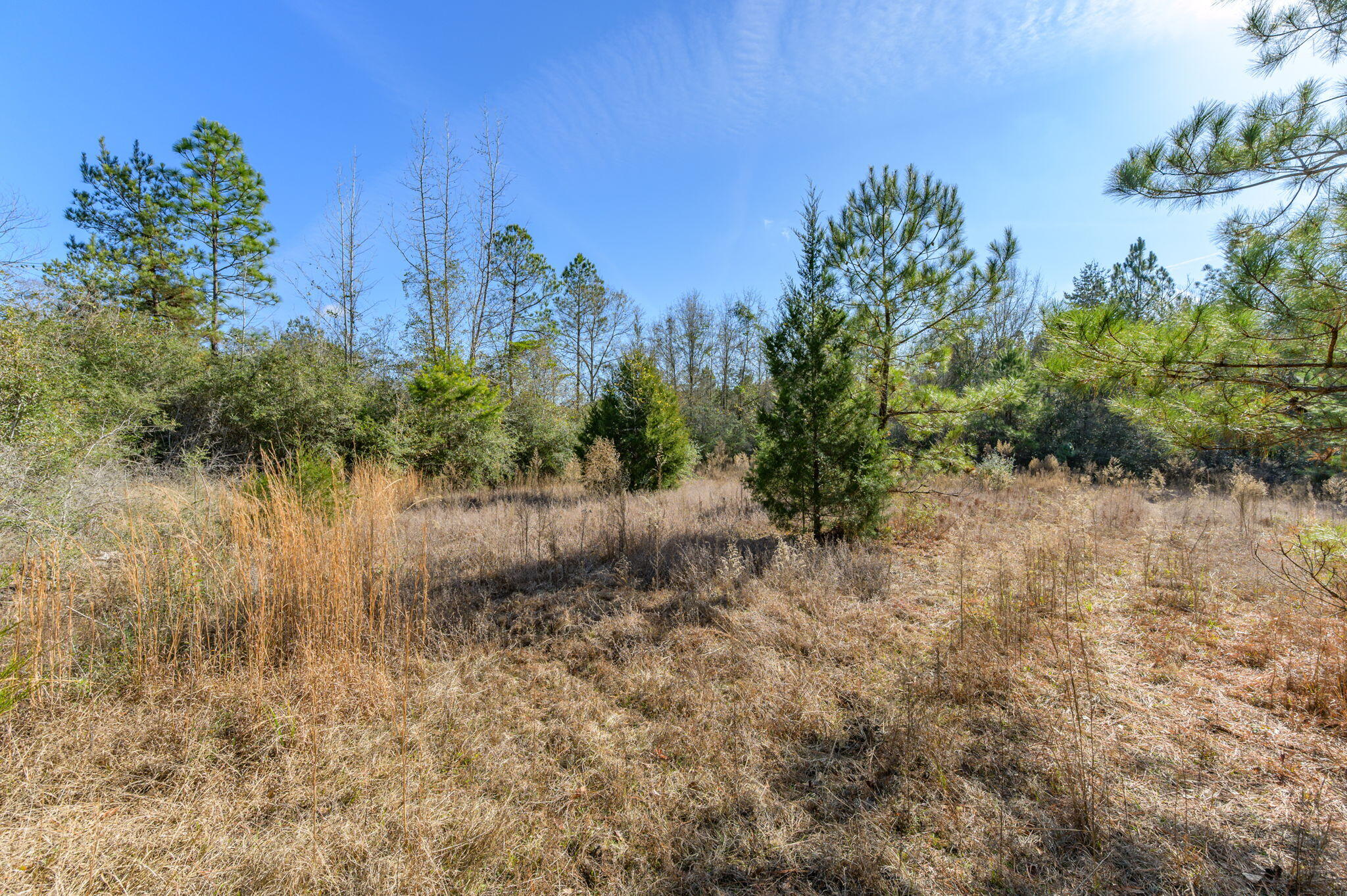 13567 Cotton Road Andalusia, AL 36420 - Photo 45 of 60 51-web-or-mls-13567-cotton-rd
