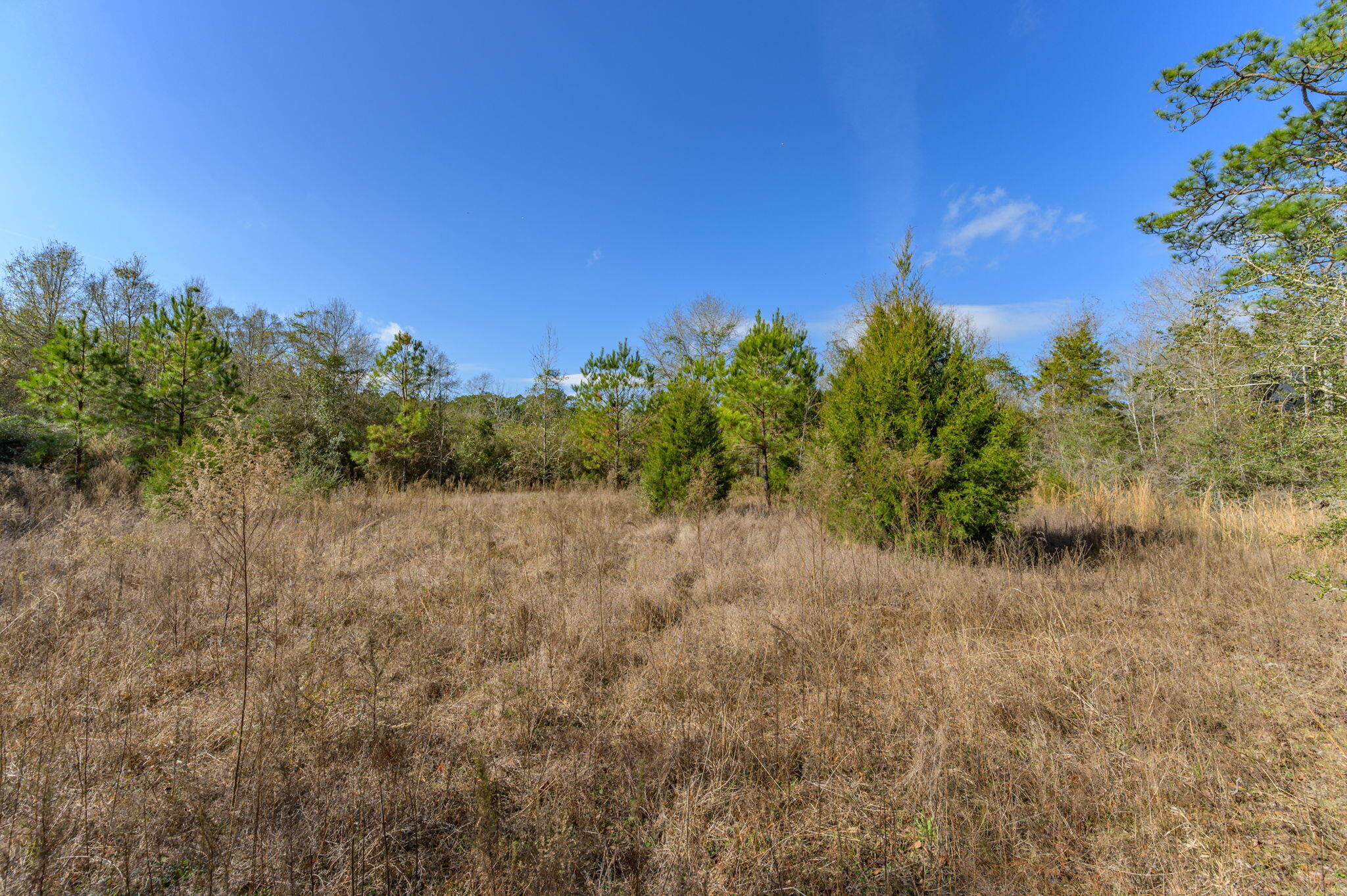 13567 Cotton Road Andalusia, AL 36420 - Photo 46 of 60 52-web-or-mls-13567-cotton-rd