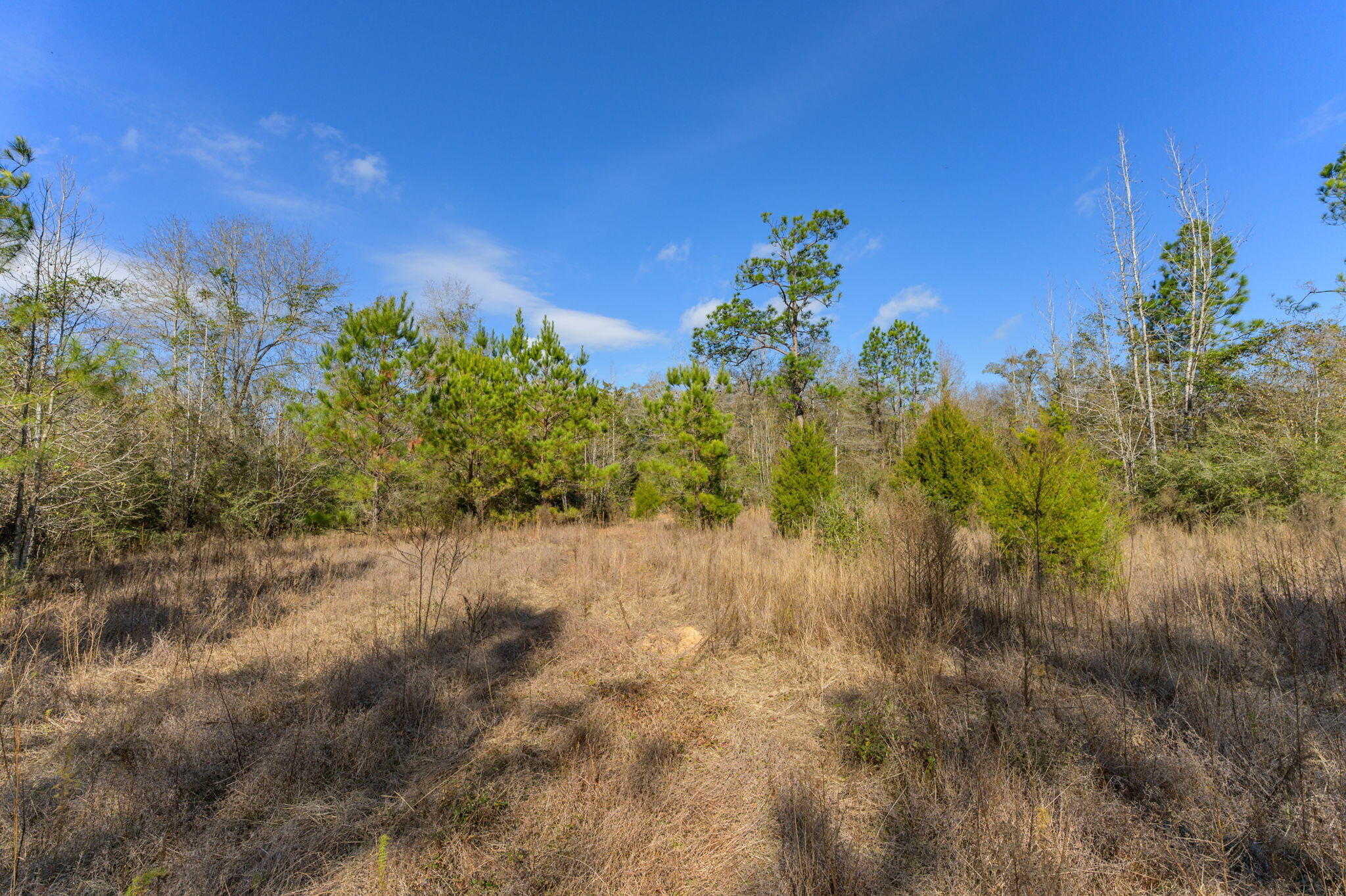 13567 Cotton Road Andalusia, AL 36420 - Photo 47 of 60 53-web-or-mls-13567-cotton-rd