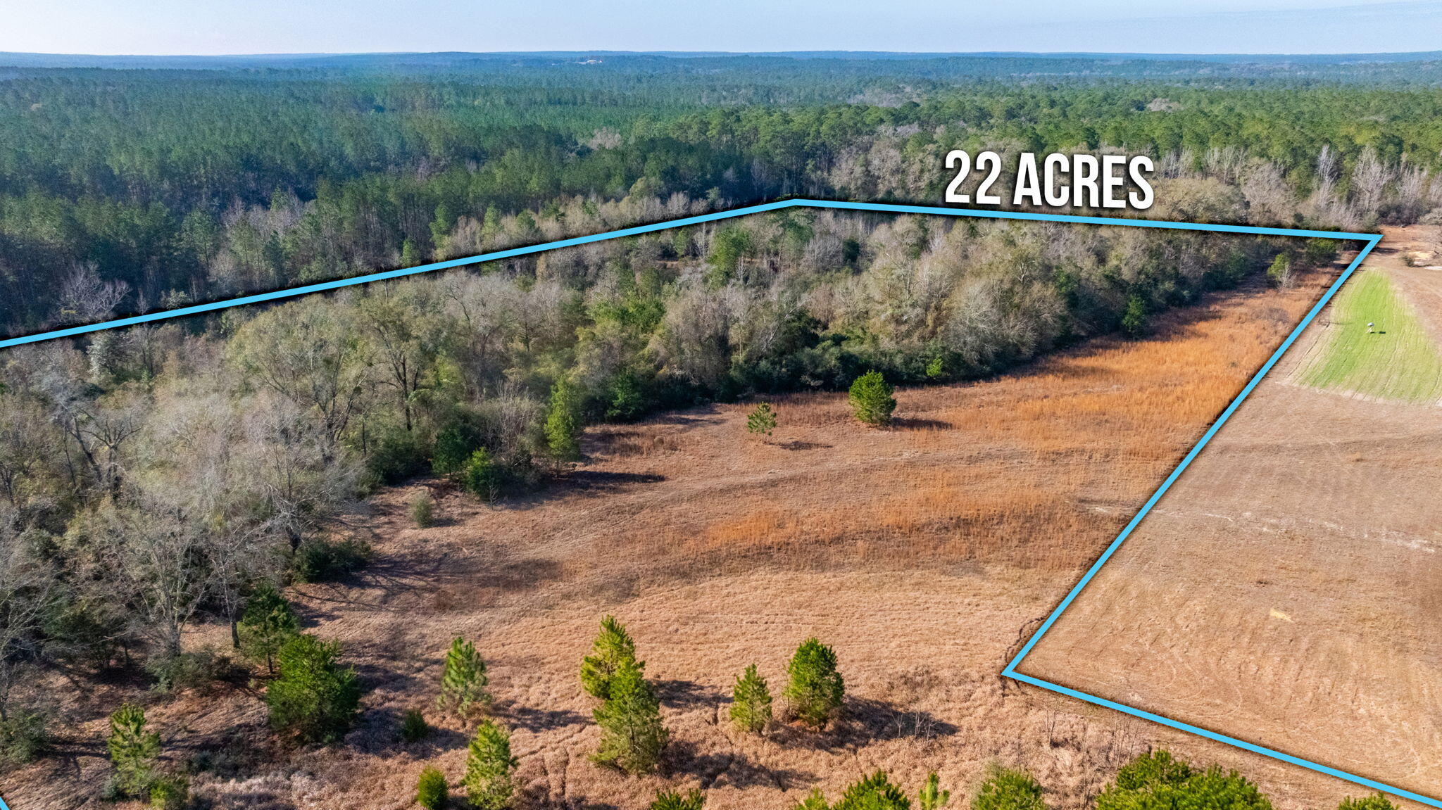 13567 Cotton Road Andalusia, AL 36420 - Photo 55 of 60 9-web-or-mls-13567-cotton-rd