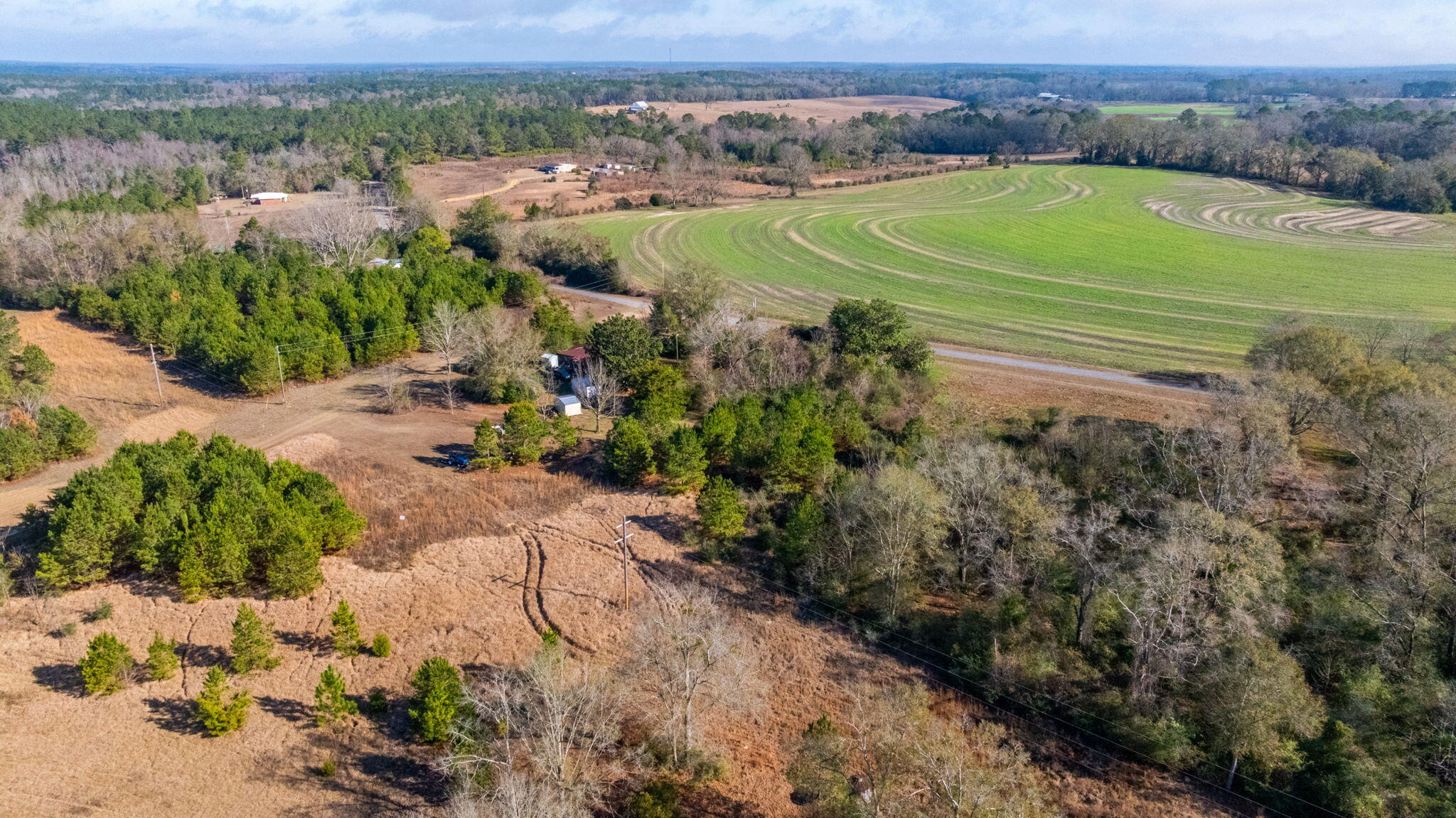 13567 Cotton Road Andalusia, AL 36420 - Photo 57 of 60 11-web-or-mls-13567-cotton-rd