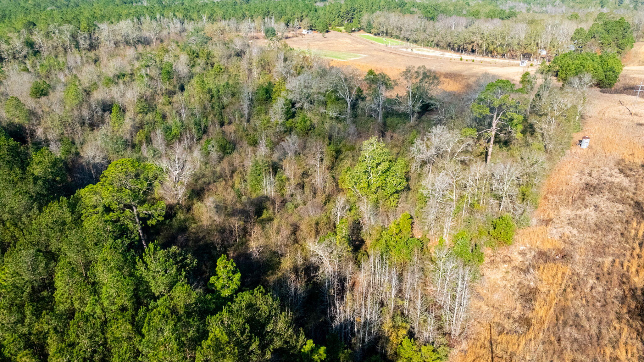 13567 Cotton Road Andalusia, AL 36420 - Photo 58 of 60 12-web-or-mls-13567-cotton-rd