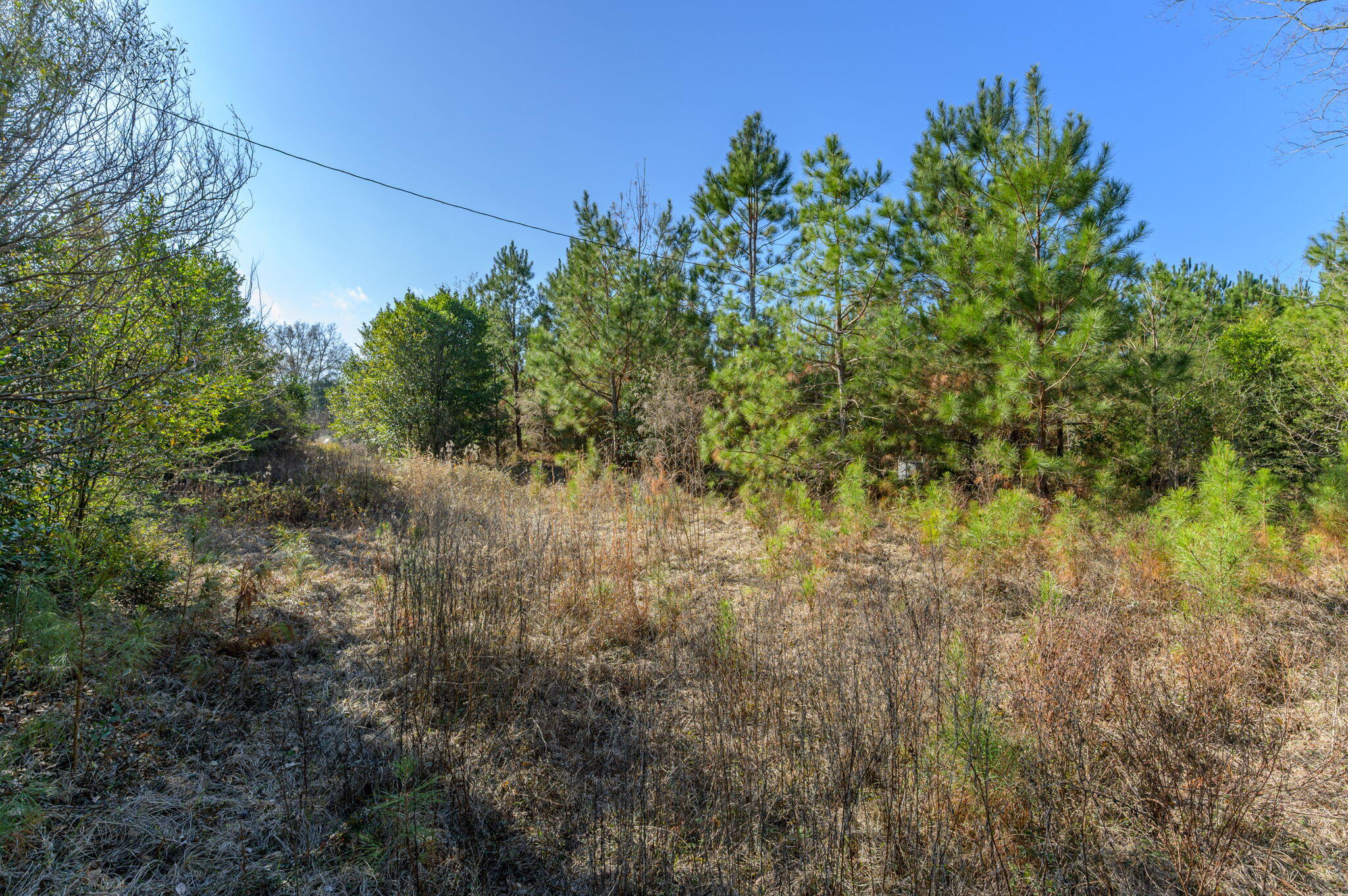 13567 Cotton Road Andalusia, AL 36420 - Photo 59 of 60 13-web-or-mls-13567-cotton-rd