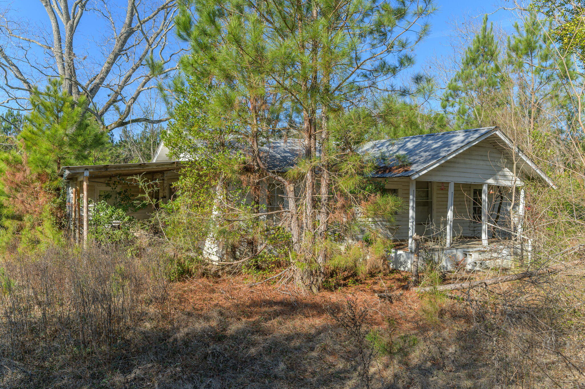 13567 Cotton Road Andalusia, AL 36420 - Photo 60 of 60 a front view of a house with garden