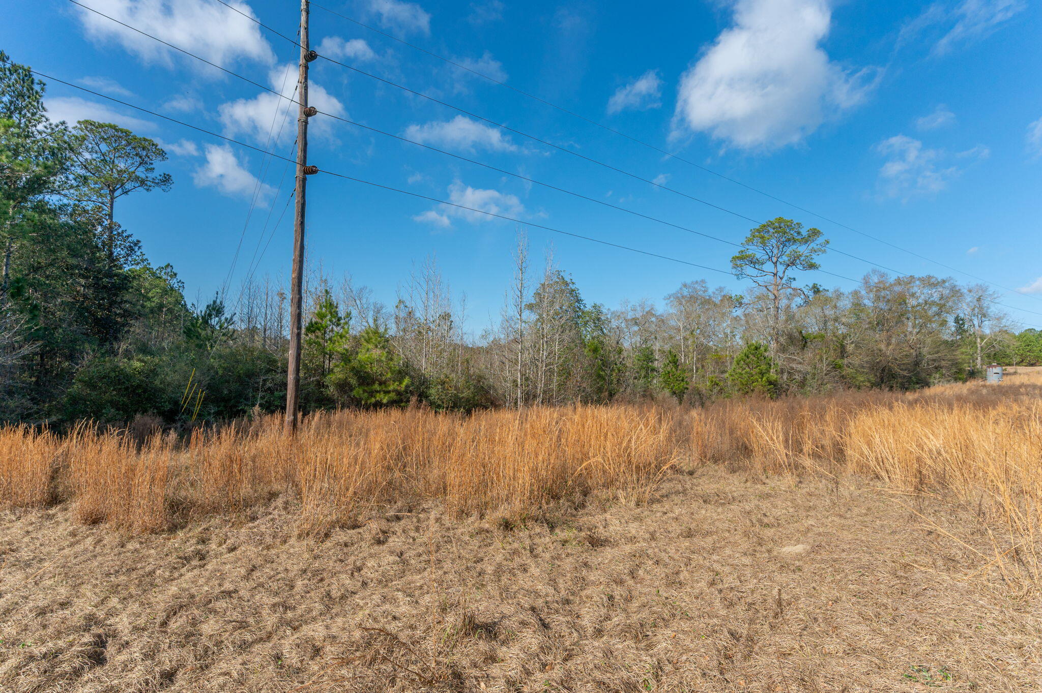 13567 Cotton Road Andalusia, AL 36420 - Photo 7 of 60 a view of a lake