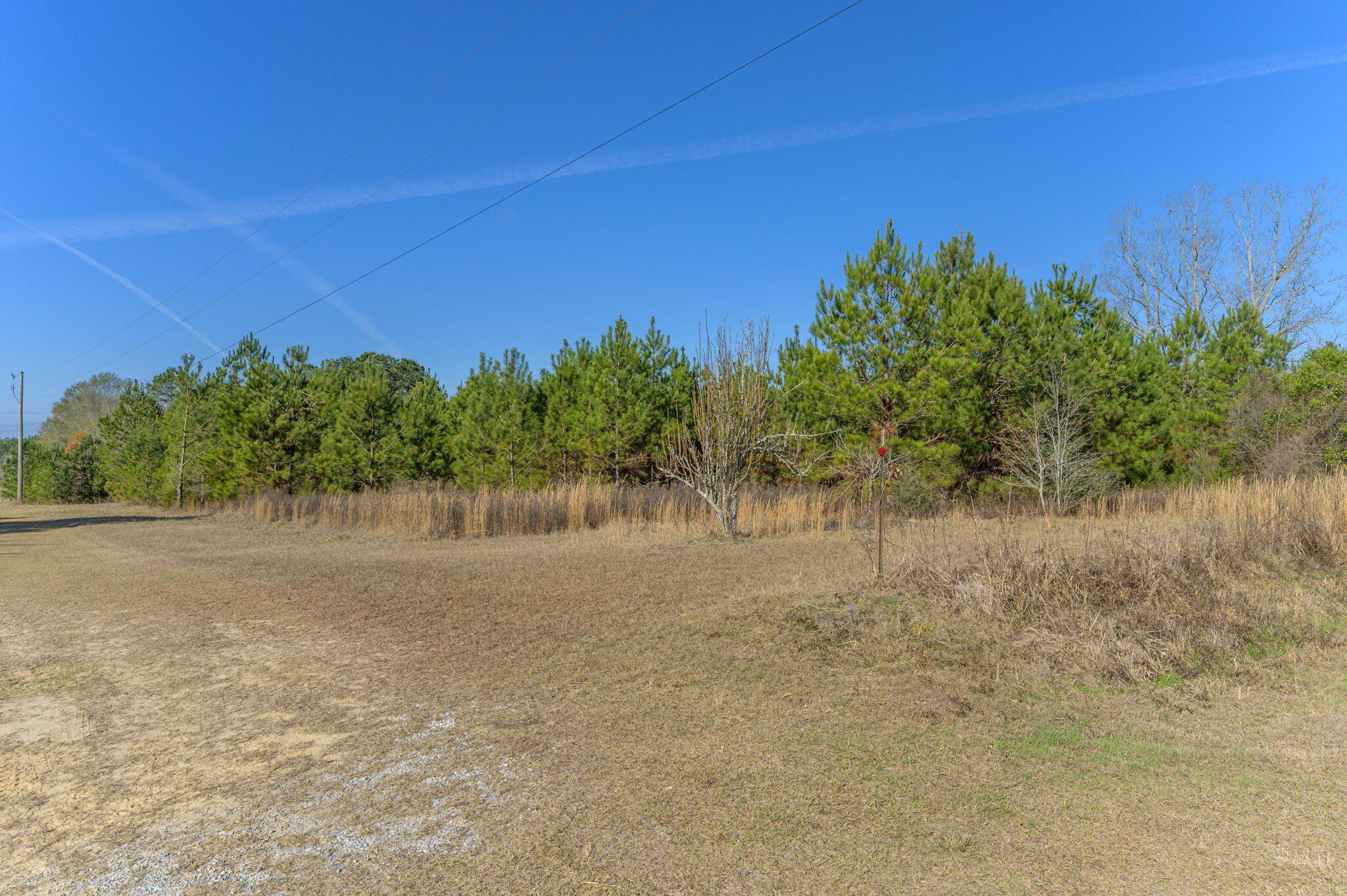 13567 Cotton Road Andalusia, AL 36420 - Photo 9 of 60 a view of a lake with a yard